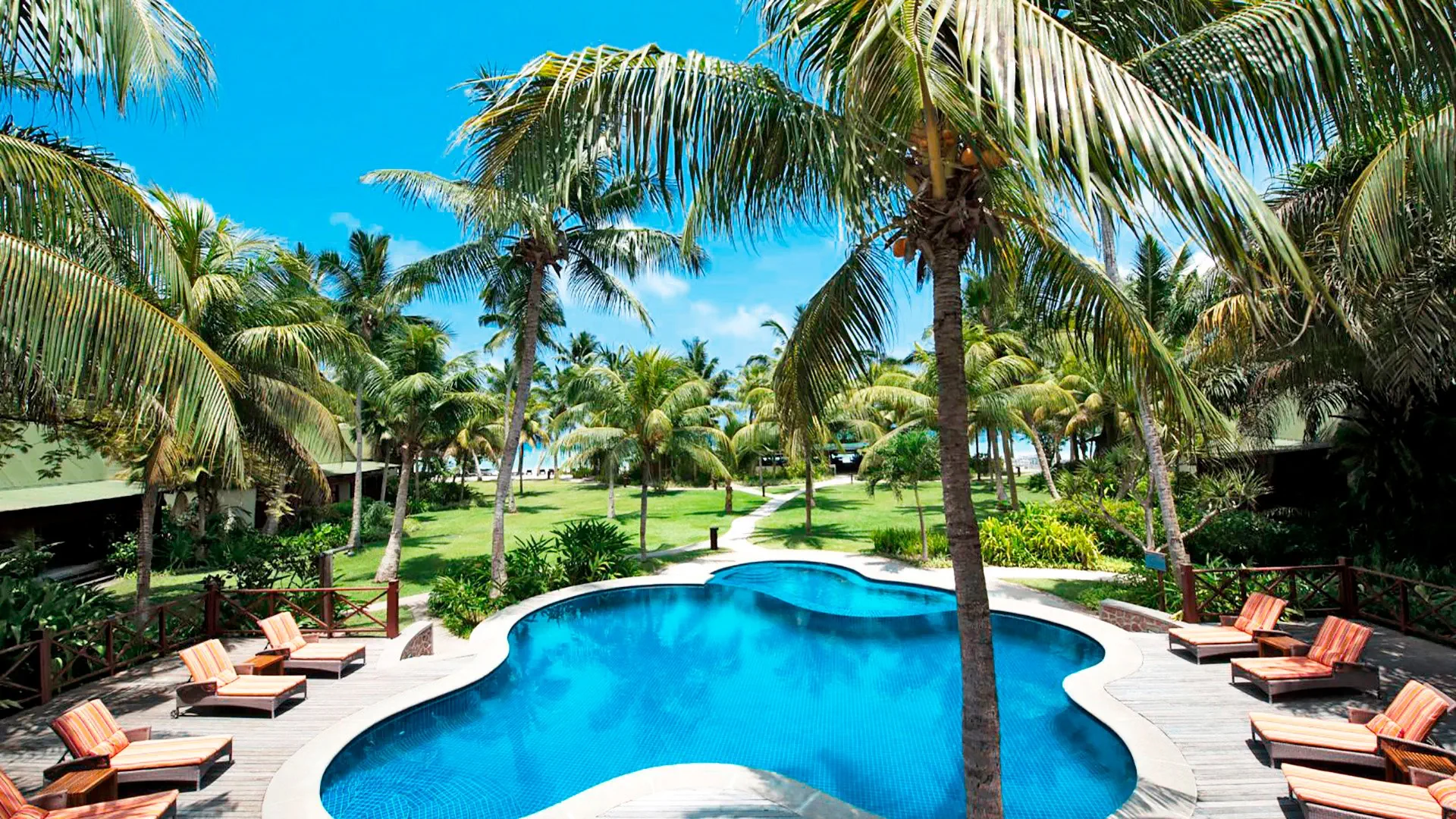 Paradise Sun