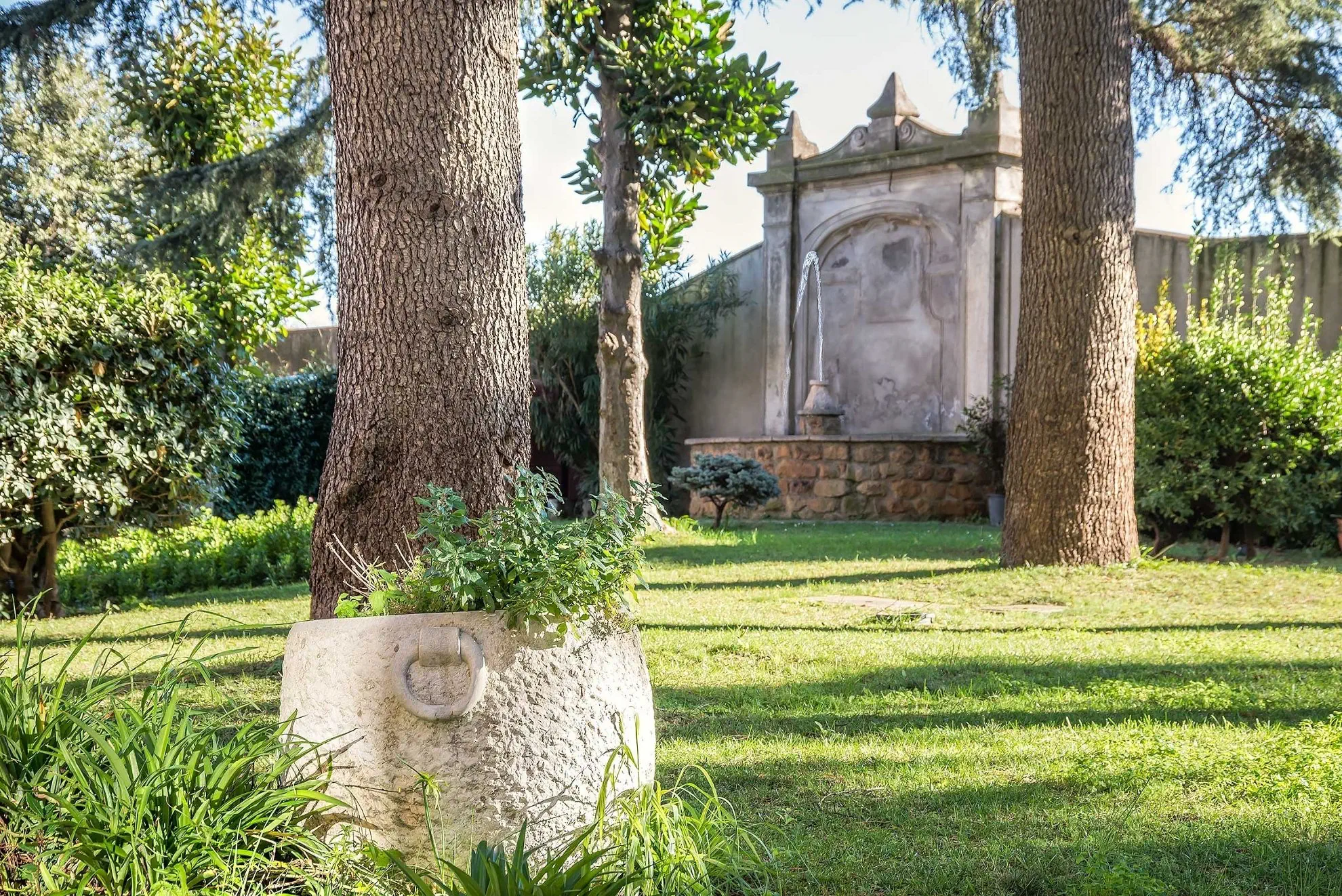 Occidental Aurelia - zdjęcie 4