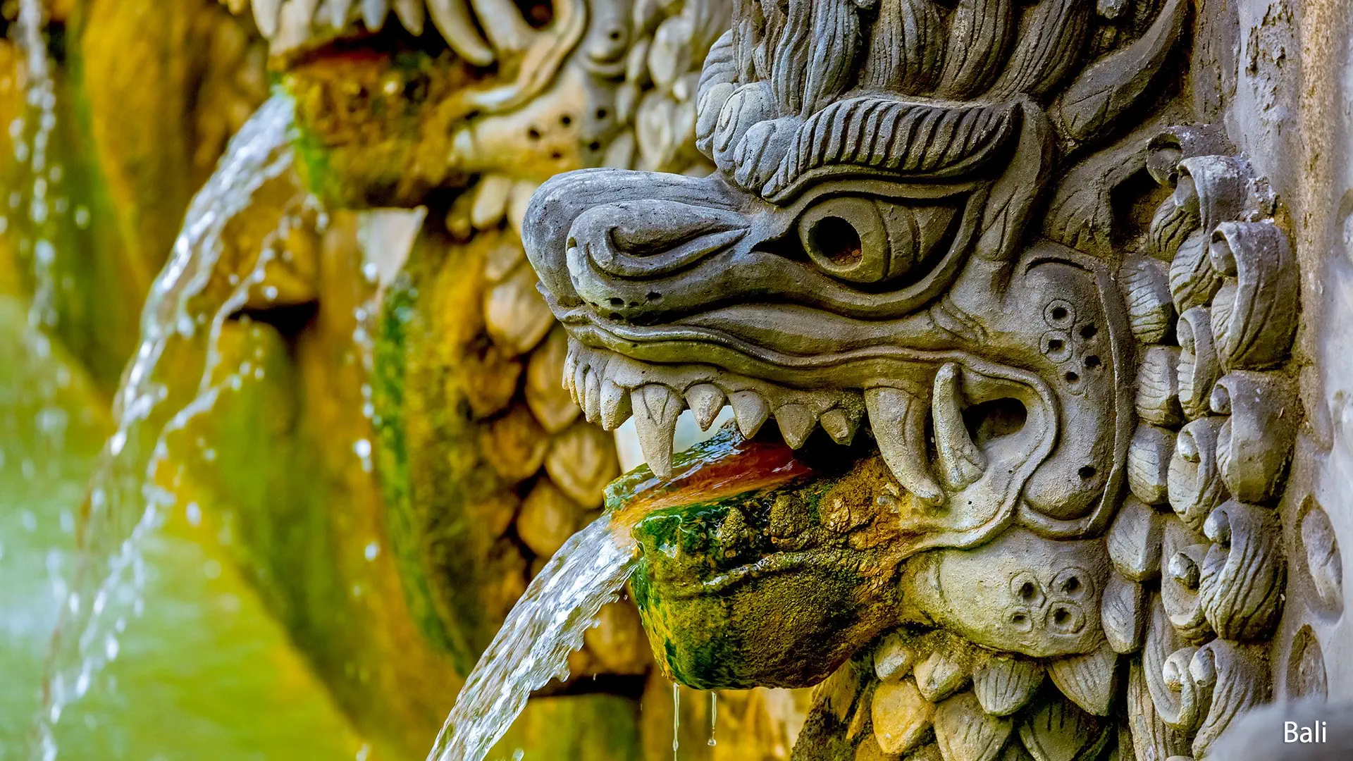 Singapur i wyspy Indonezji - zdjęcie 13