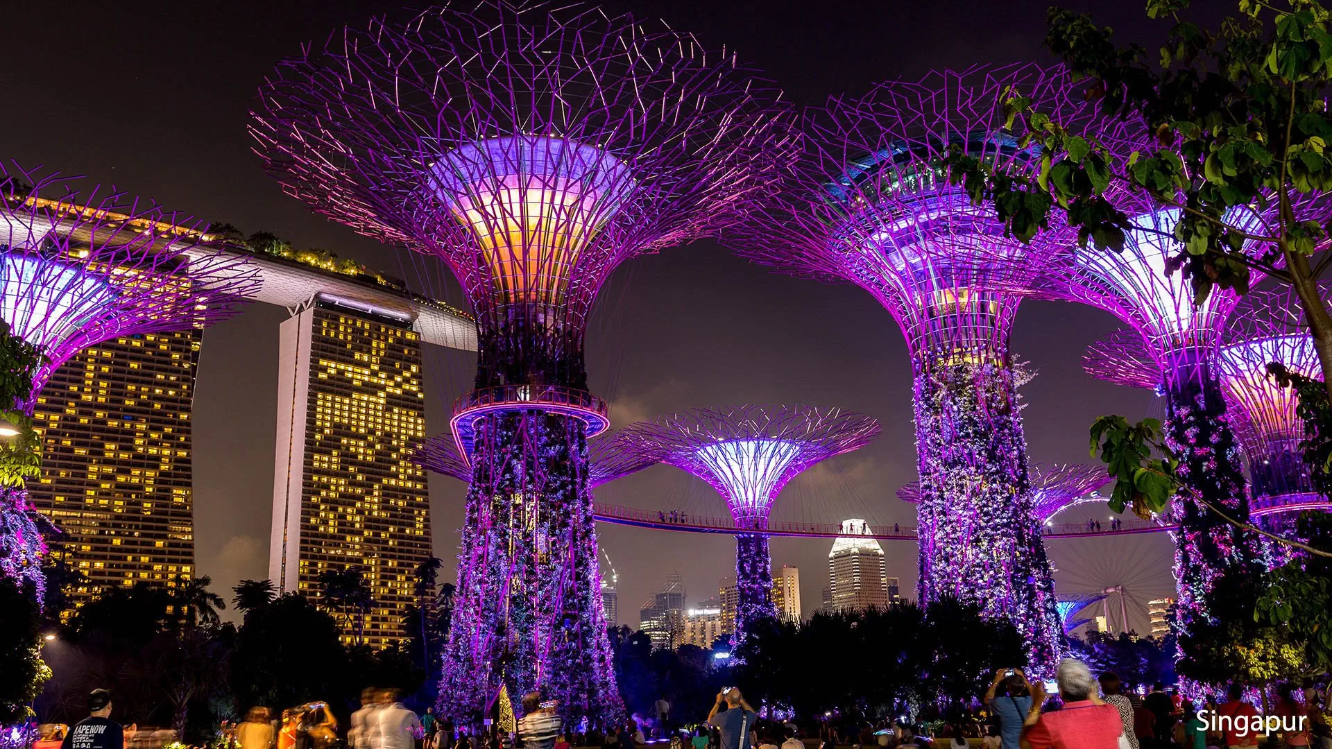 Singapur i wyspy Indonezji - zdjęcie 14
