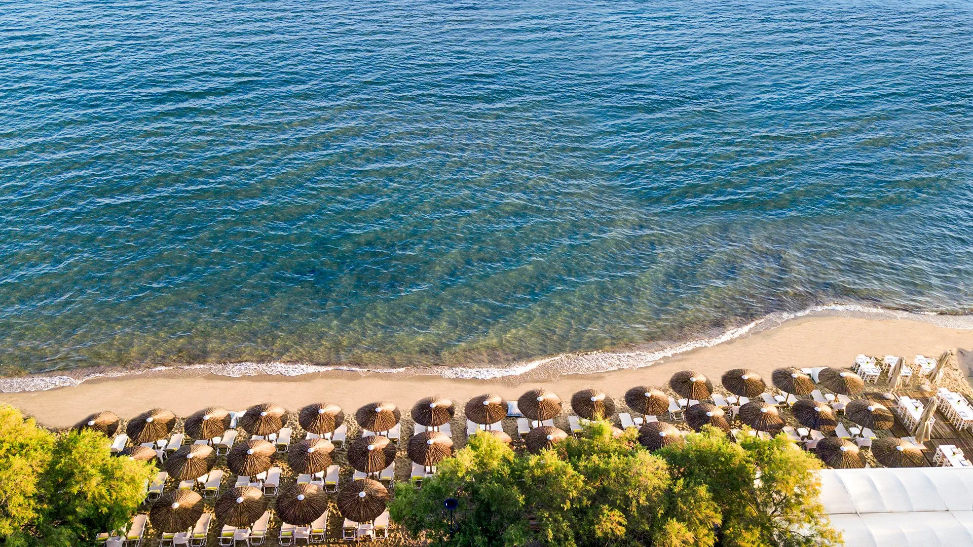 Golden Star City Resort - zdjęcie 5
