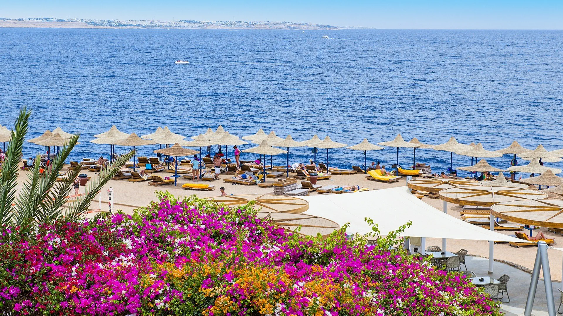 Hotel Amphoras Blu Sharm El Sheikh