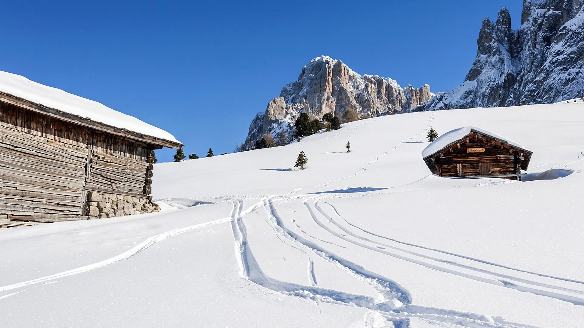 TH Majestic Dolomiti