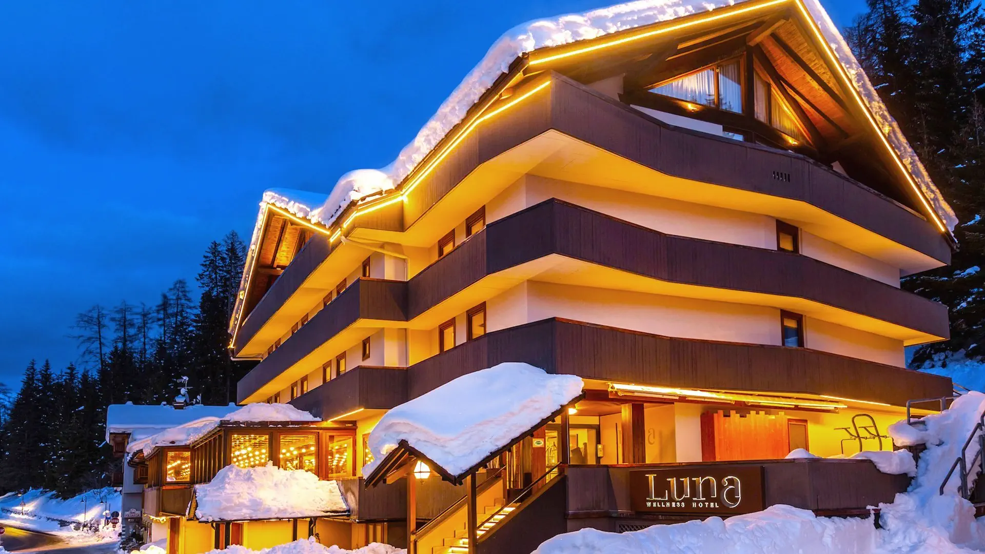 Luna Wellness - zdjęcie 16