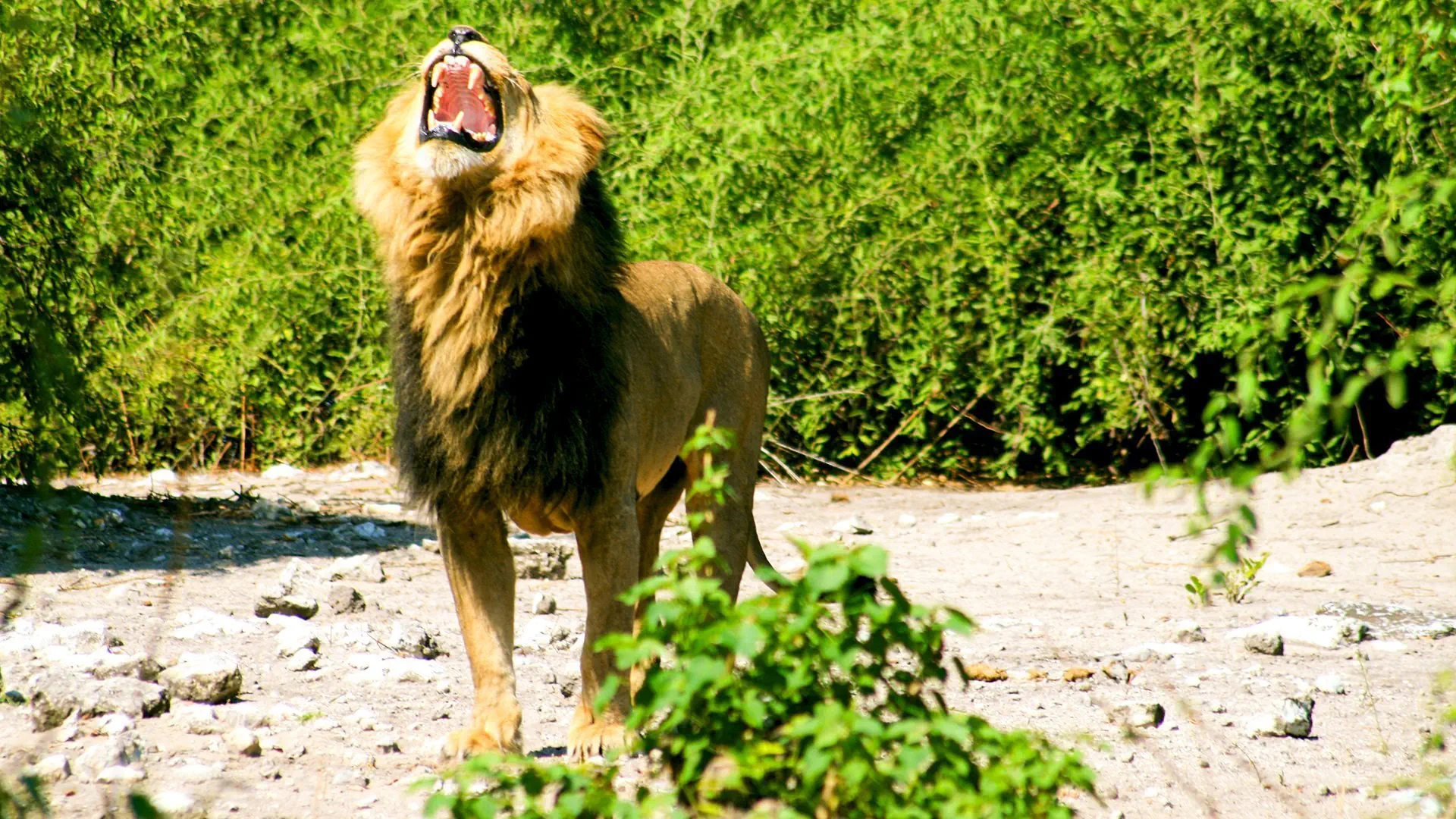 Namibia, Botswana i nad Zambezi - zdjęcie 14