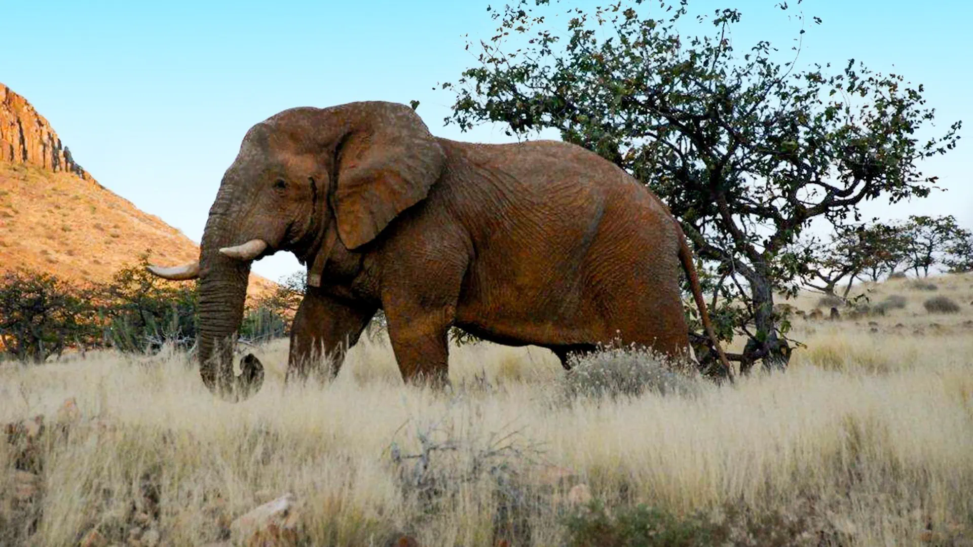 Namibia, Botswana i nad Zambezi - zdjęcie 24