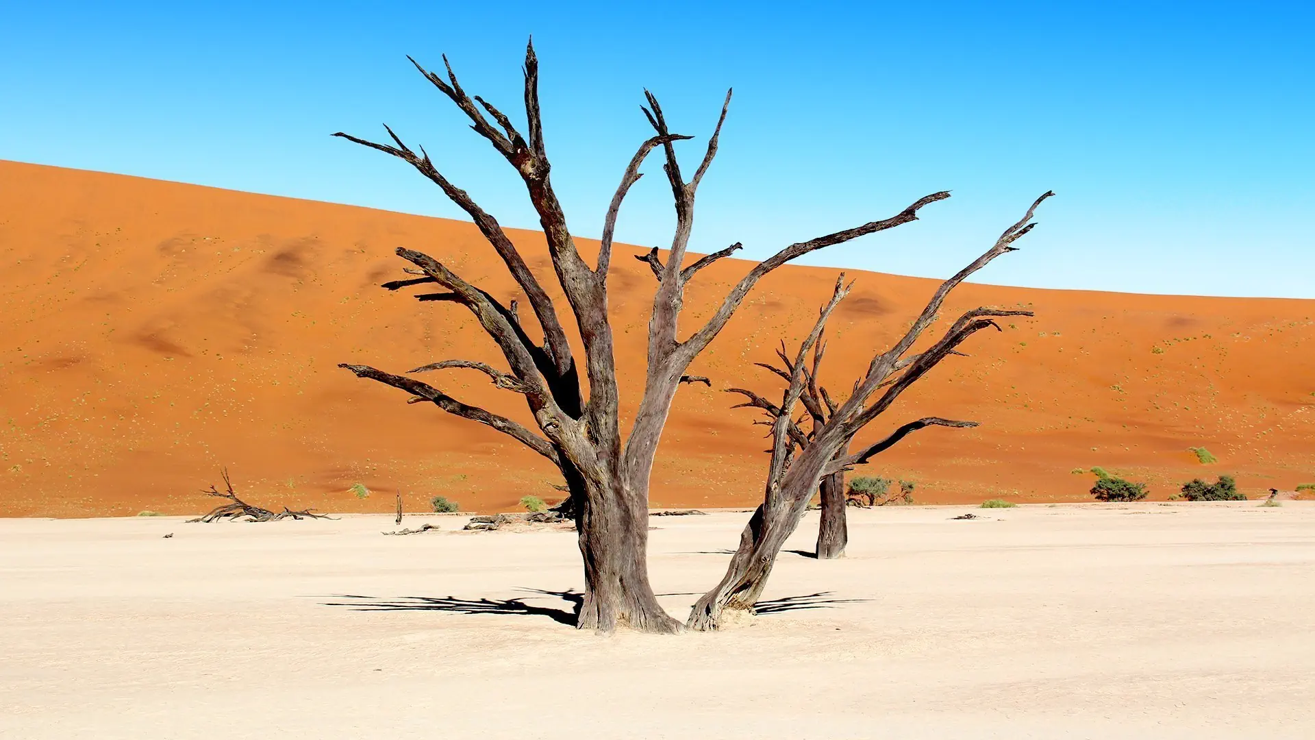 Namibia, Botswana i nad Zambezi - zdjęcie 17