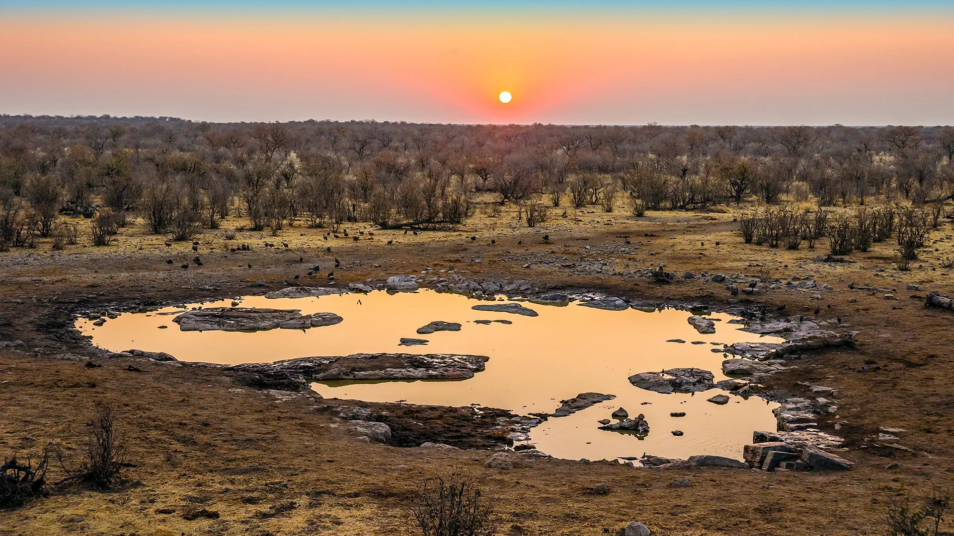 Namibia, Botswana i nad Zambezi - zdjęcie 11