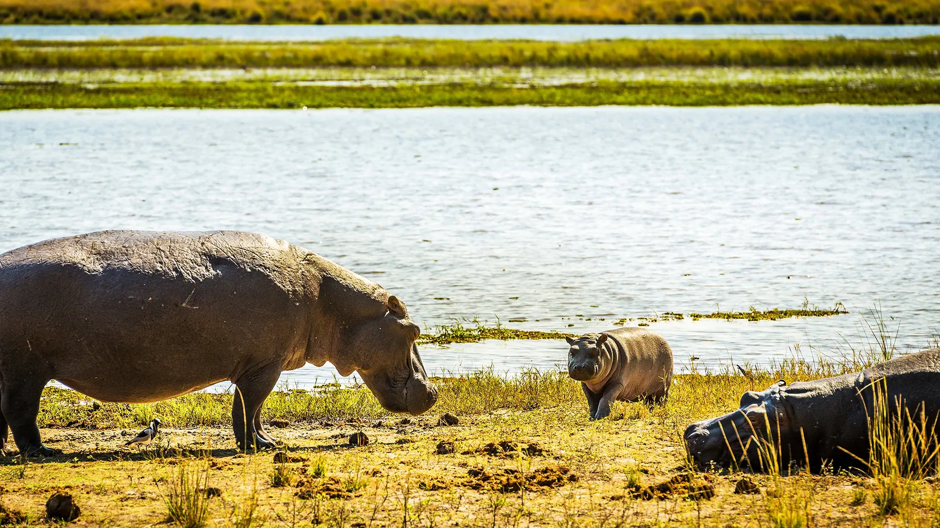 Namibia, Botswana i nad Zambezi - zdjęcie 9