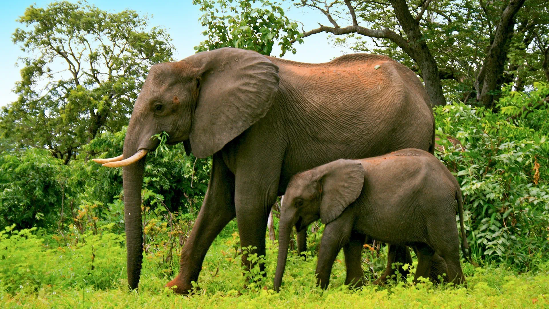 Namibia, Botswana i nad Zambezi - zdjęcie 29
