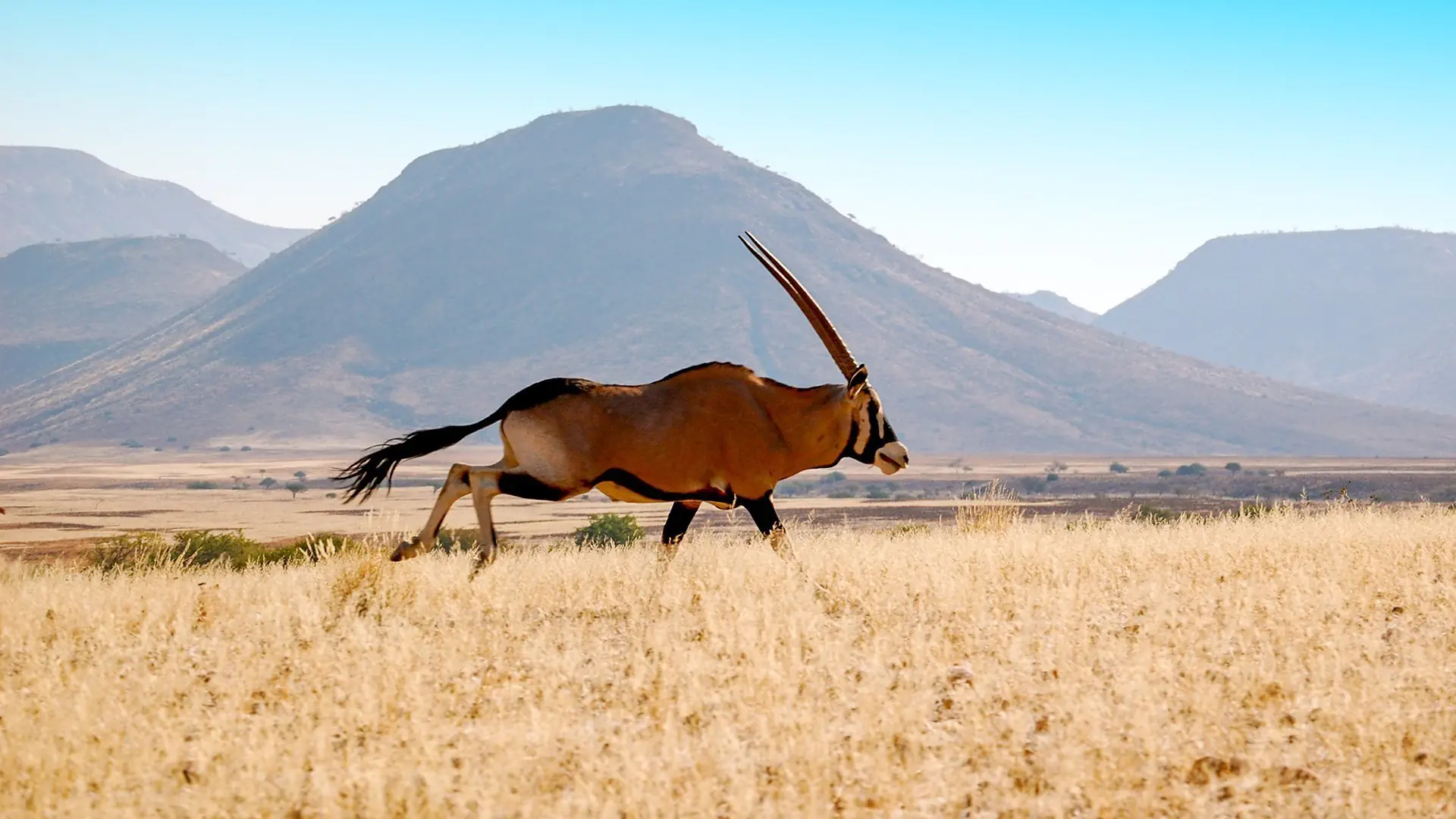 Namibia, Botswana i nad Zambezi - zdjęcie 20