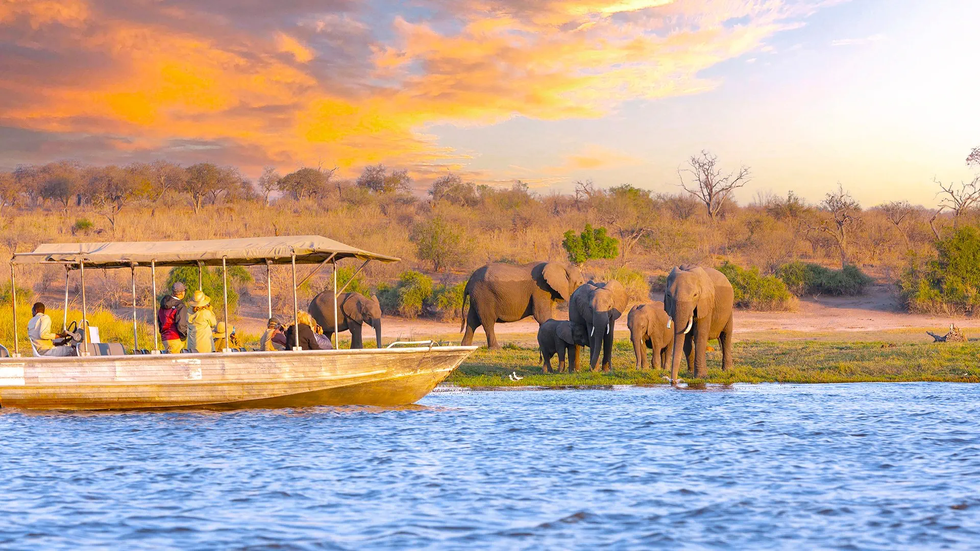 Namibia, Botswana i nad Zambezi, z noclegami w lodżach - zdjęcie 6