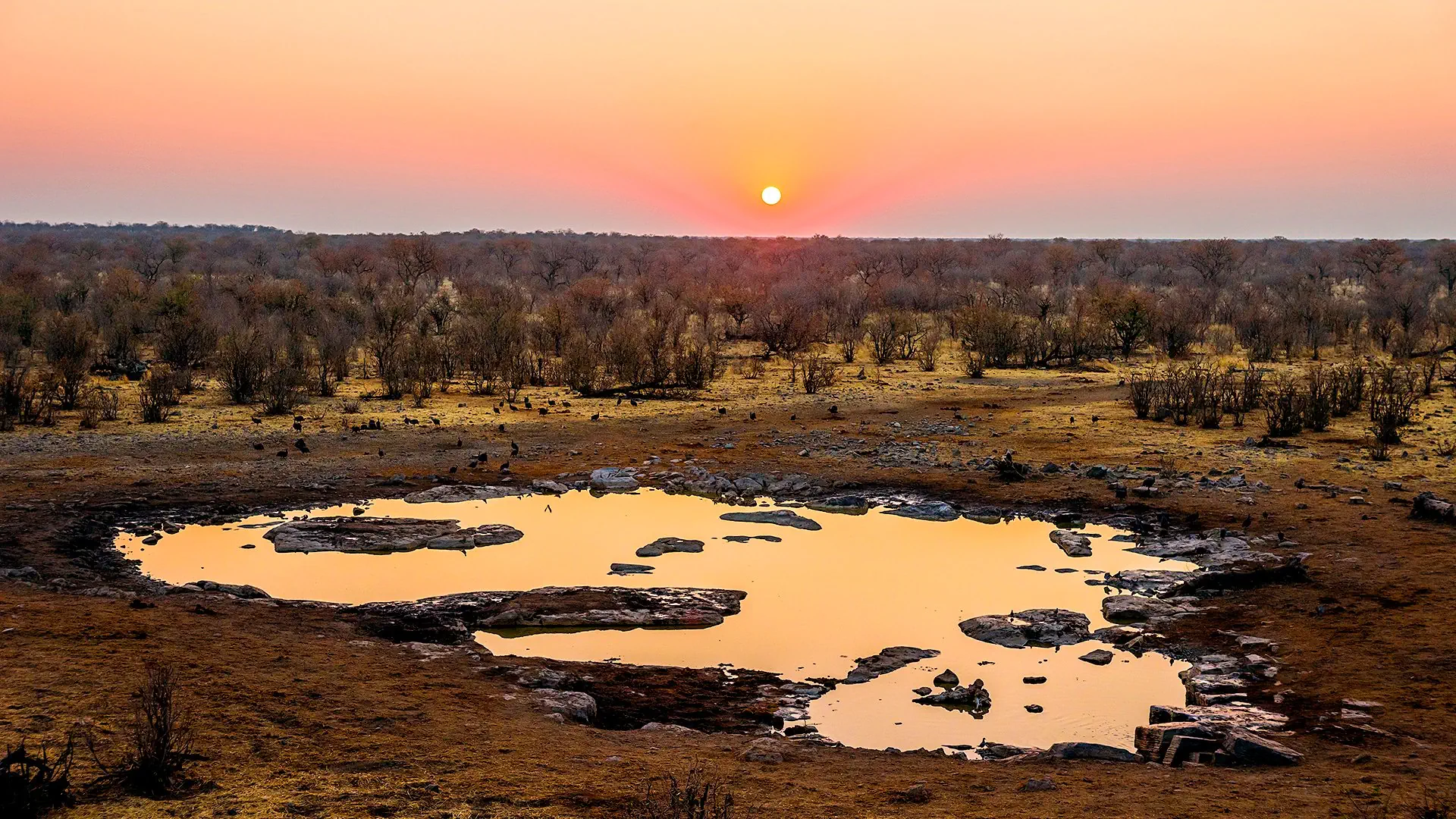 Namibia, Botswana i nad Zambezi, z noclegami w lodżach - zdjęcie 18
