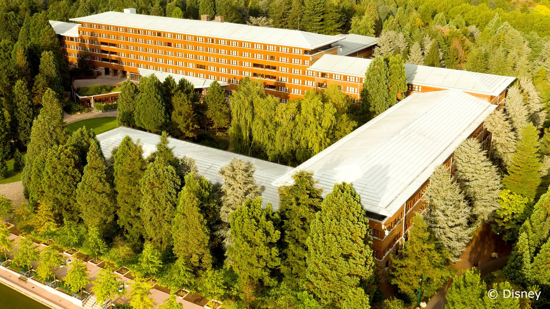 Disney's Sequoia Lodge - zdjęcie 3