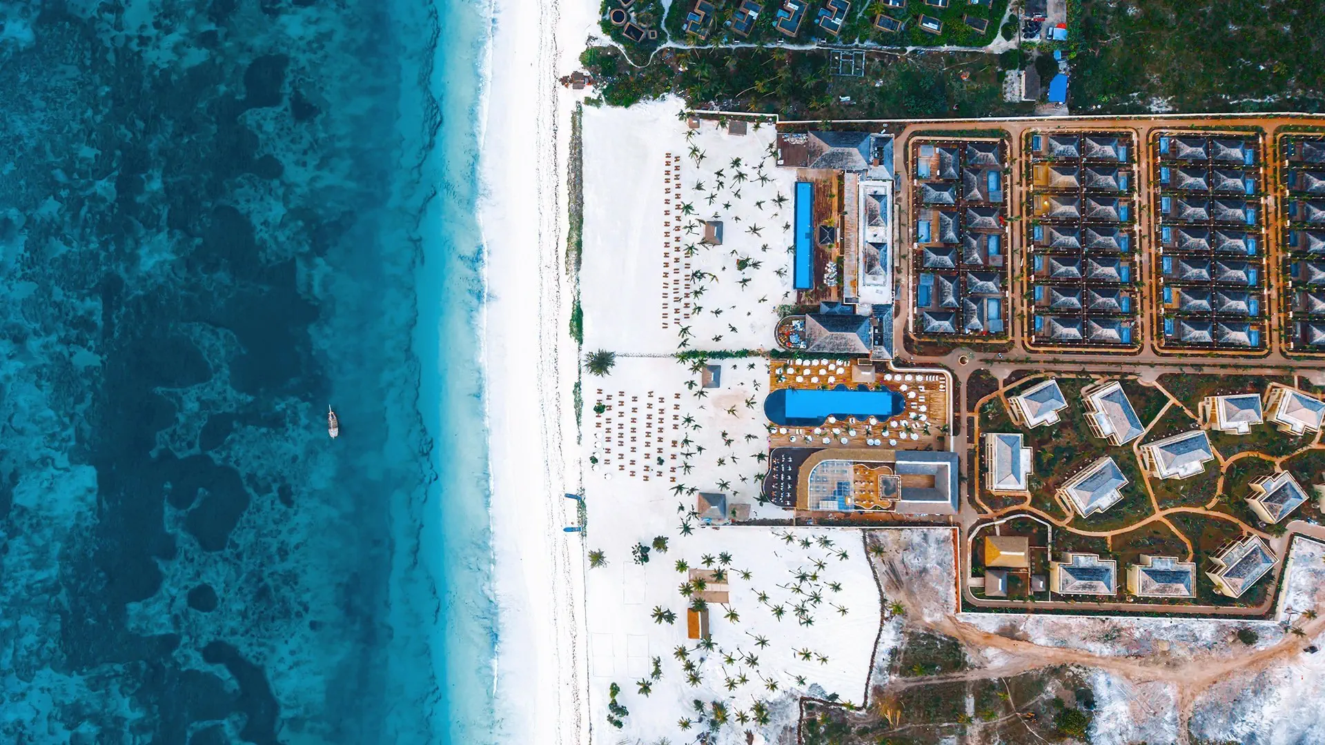 Anaya (Zanzibar) - zdjęcie 26