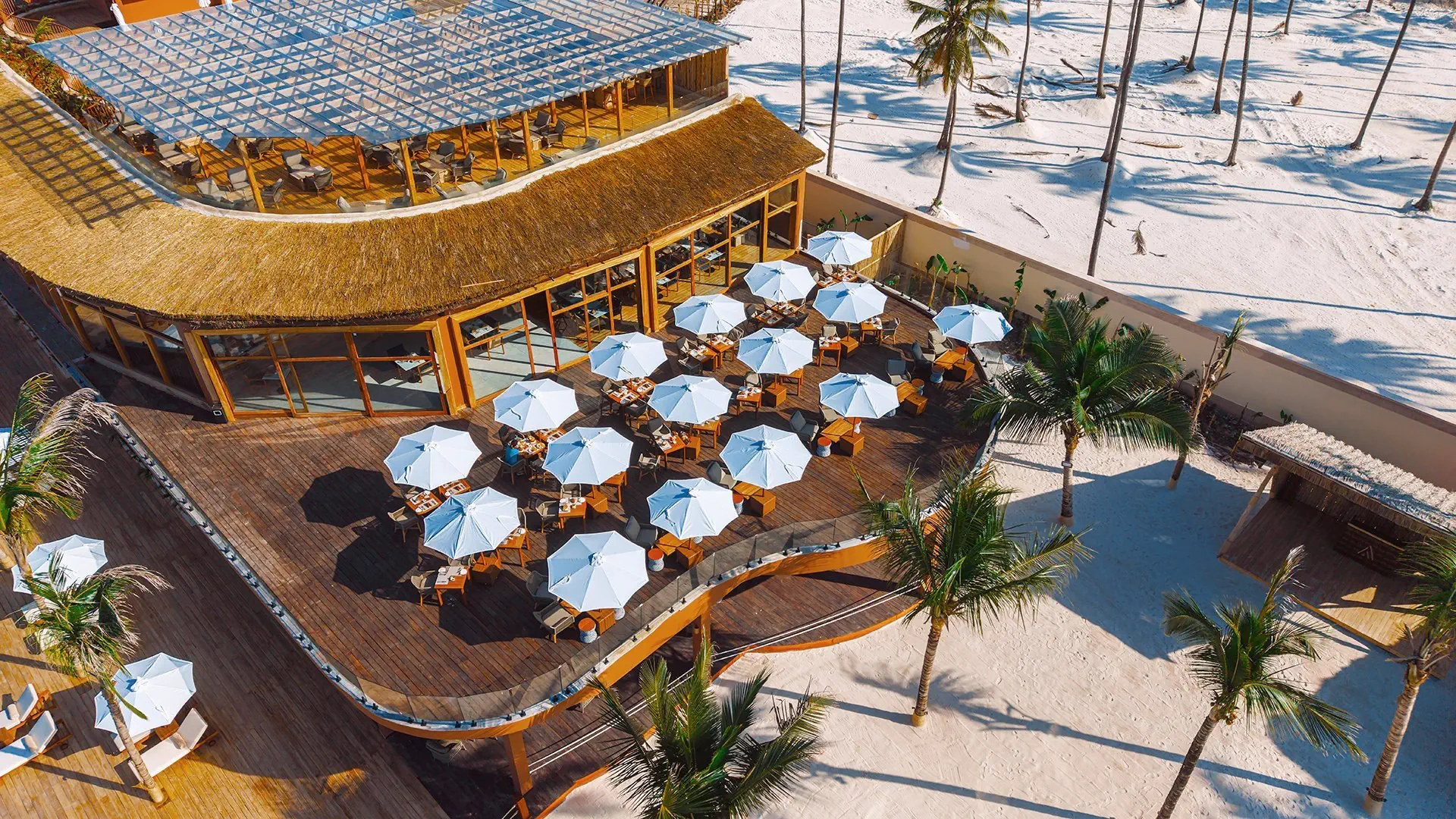 Anaya (Zanzibar) - zdjęcie 25