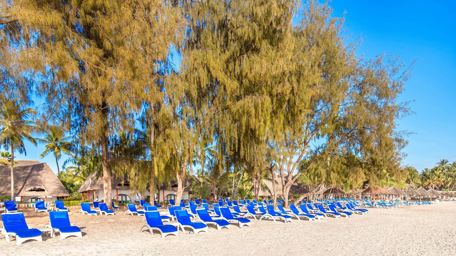 Hotel Kiwengwa Beach Resort