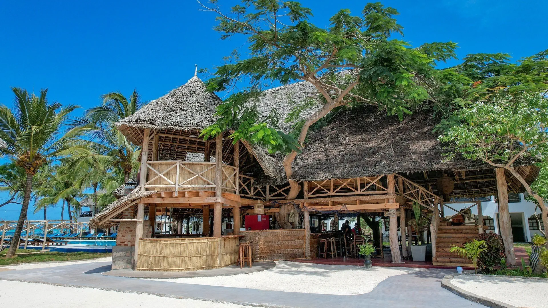 Dzika Natura Afryki + Nest Style Beach Hotel - zdjęcie 11