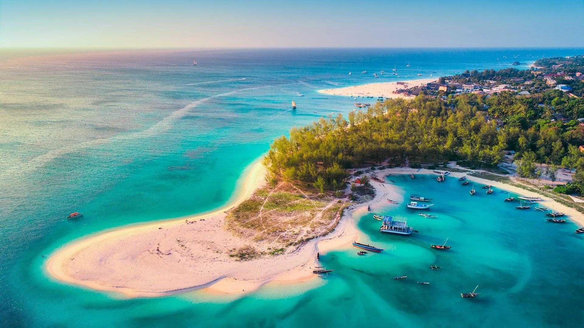 Ahoj Zanzibar! - zdjęcie 7