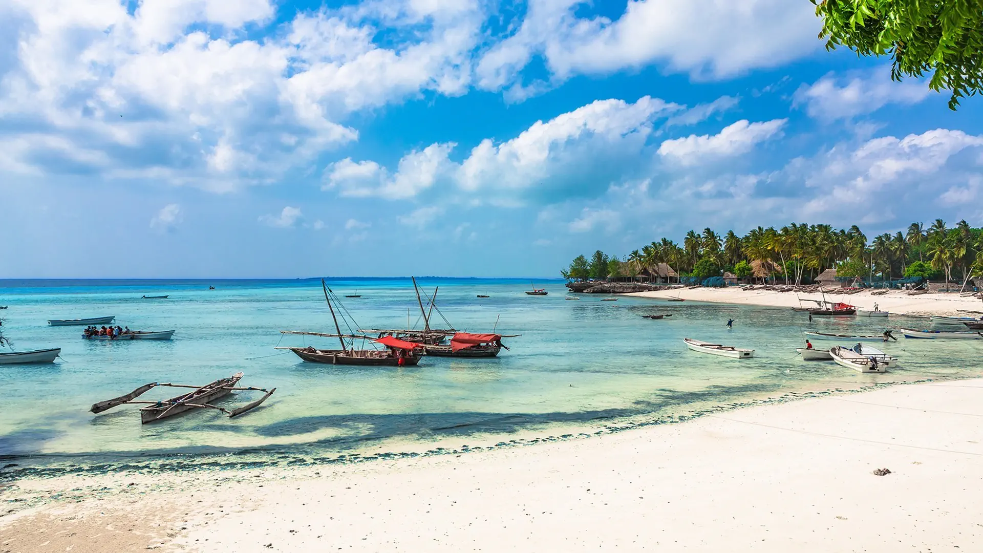 Ahoj Zanzibar! Rejs i Safari w Parku Narodowym Saadani - zdjęcie 5