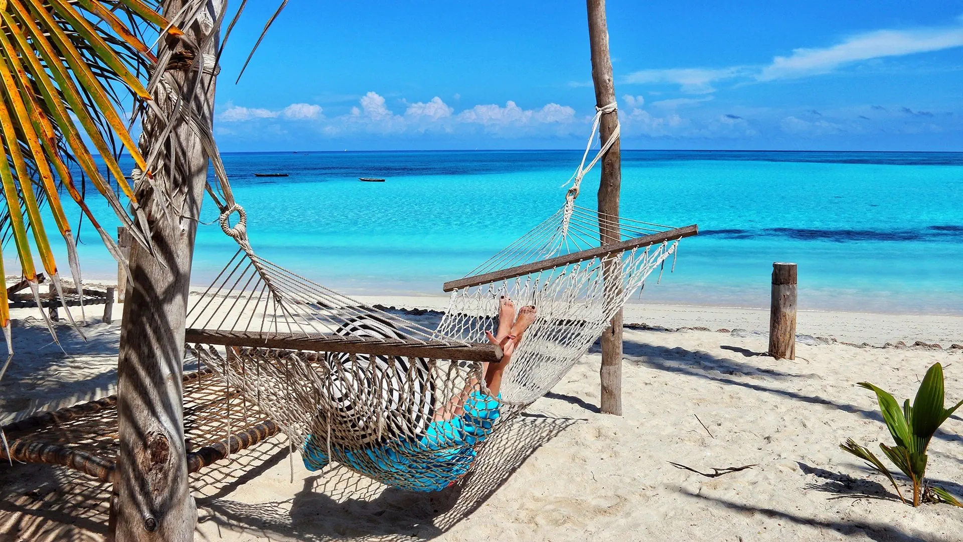 Ahoj Zanzibar! Rejs i Safari w Parku Narodowym Saadani - zdjęcie 4
