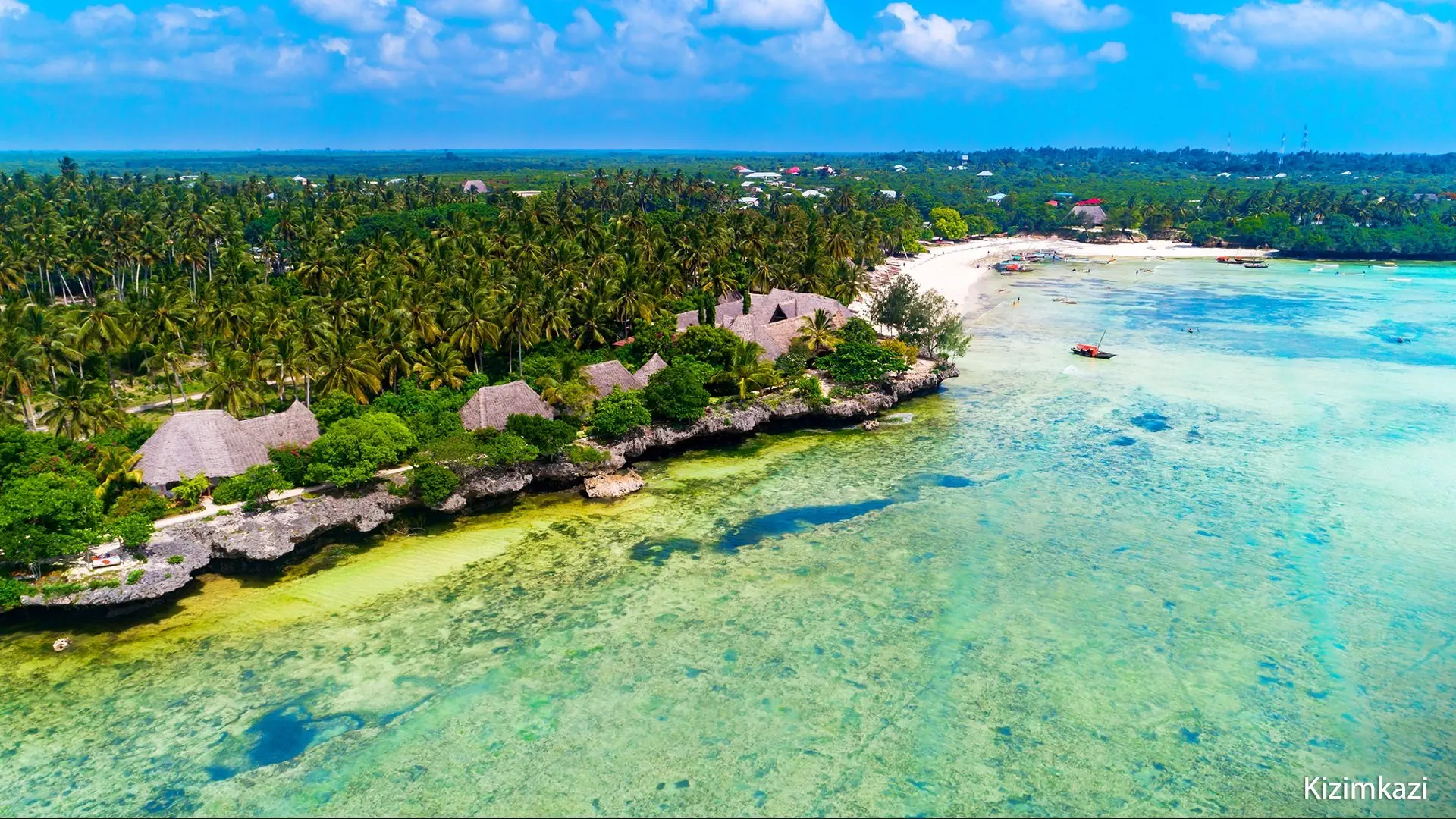 Ahoj Zanzibar! Rejs i Safari w Parku Narodowym Saadani - zdjęcie 6