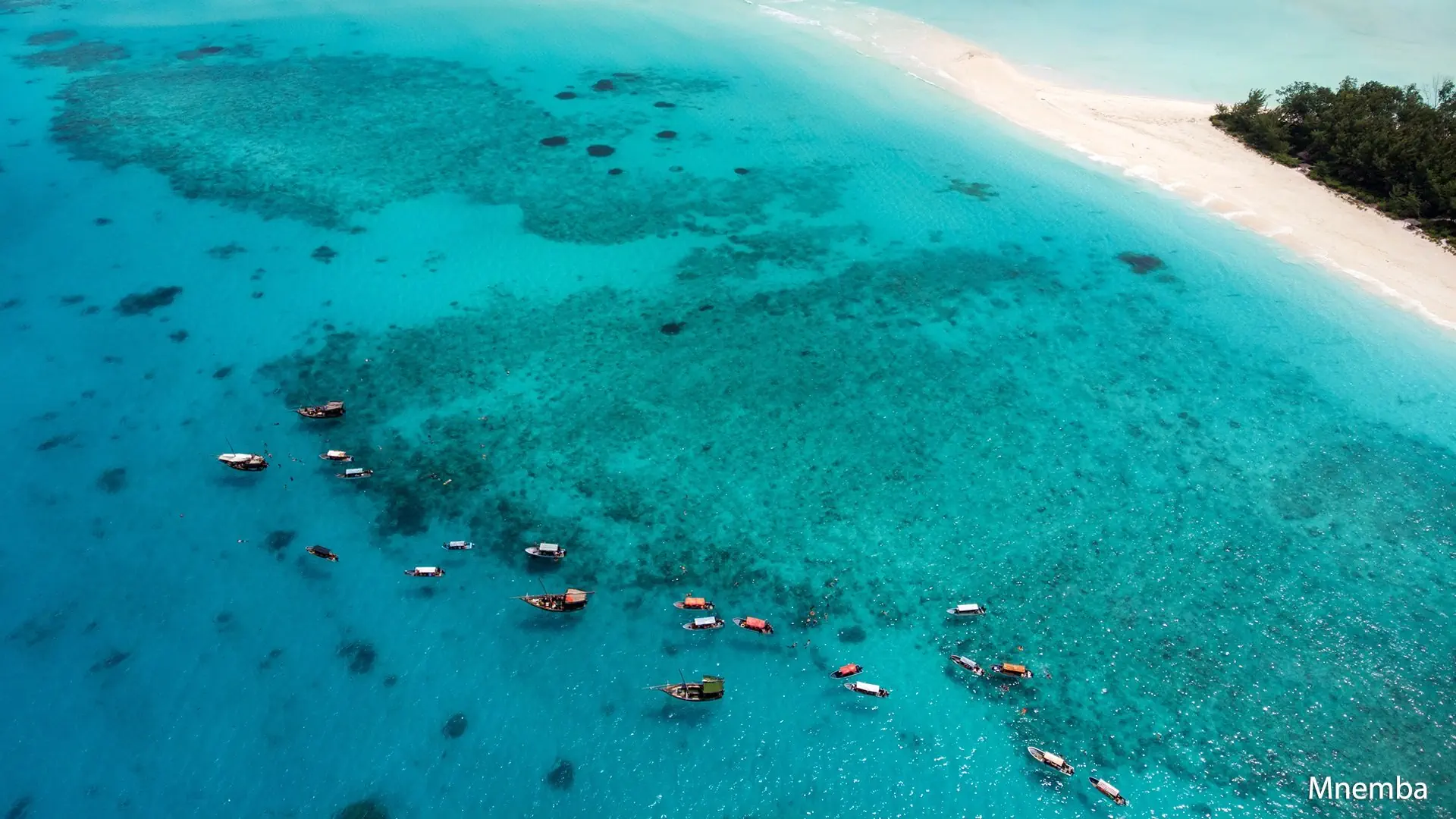 Ahoj Zanzibar! Rejs i Safari w Parku Narodowym Saadani - zdjęcie 3