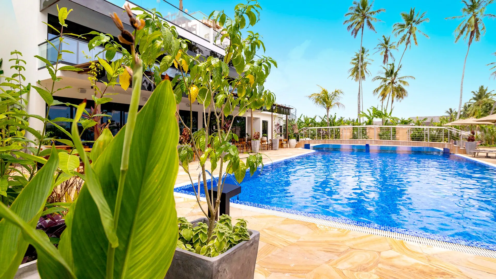 Toa & Spa Zanzibar - zdjęcie 14