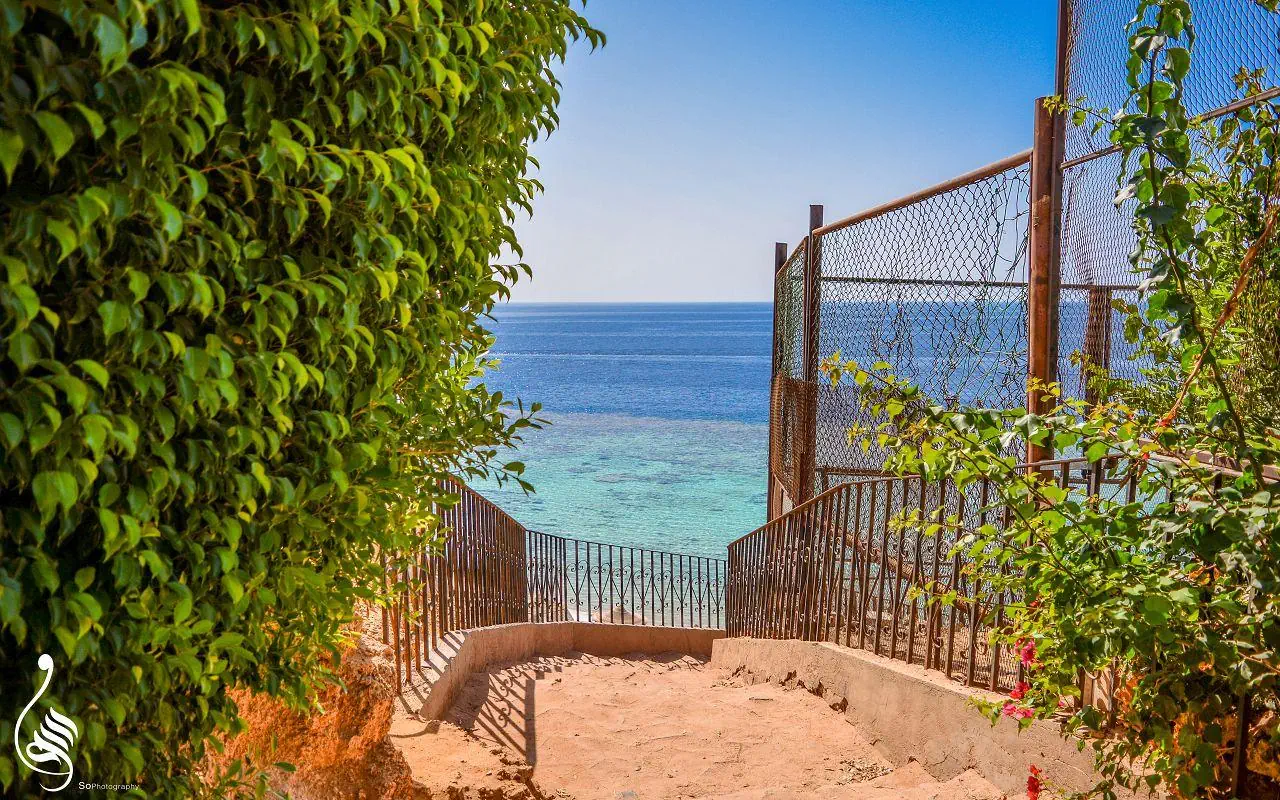 HOTEL Dive Inn  Resort