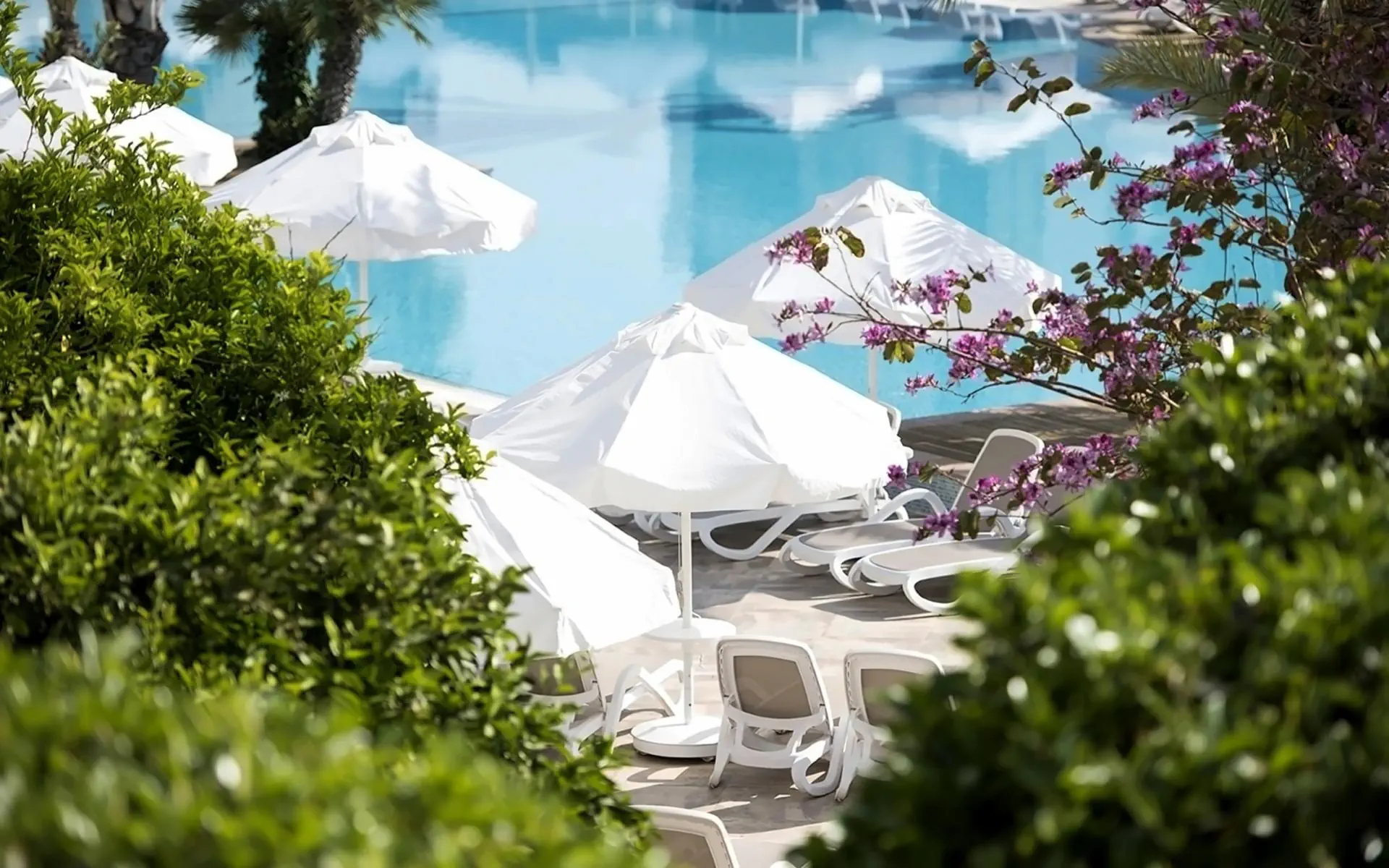 HOTEL Barut B Suites