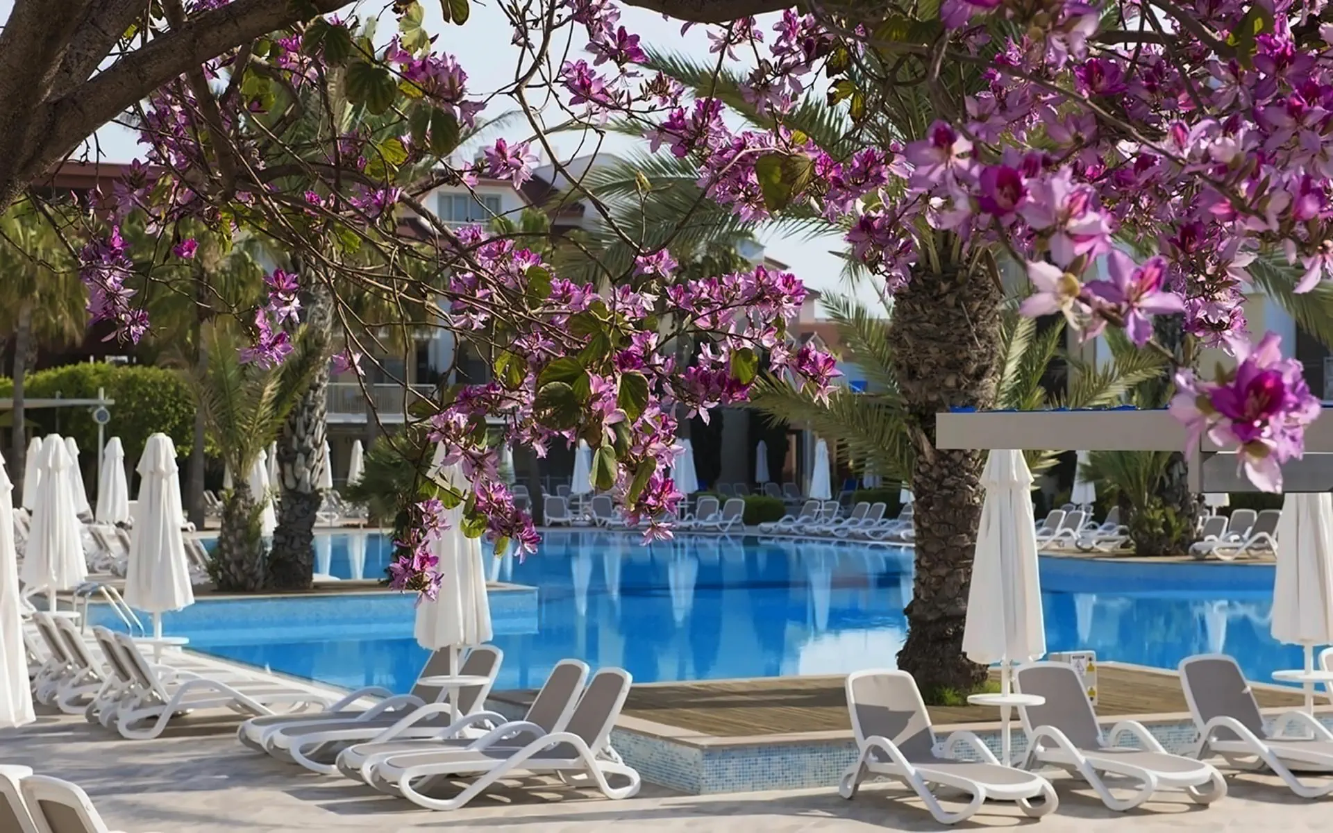HOTEL Barut B Suites