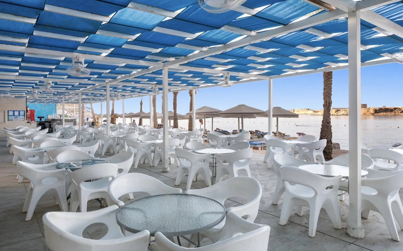 Nazwa: Albatros Sharm Resort (Ex. Beach Albatros SSH)
