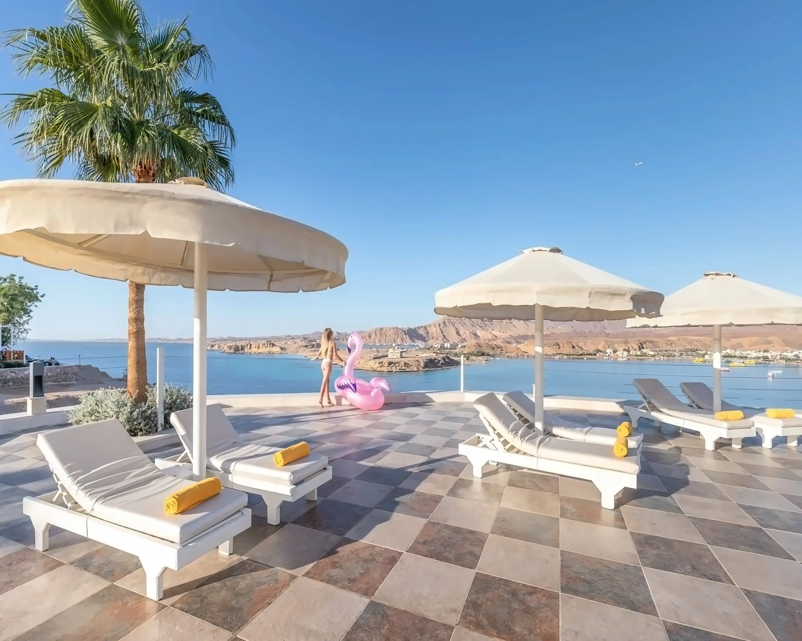 Nazwa: Albatros Sharm Resort (Ex. Beach Albatros SSH)