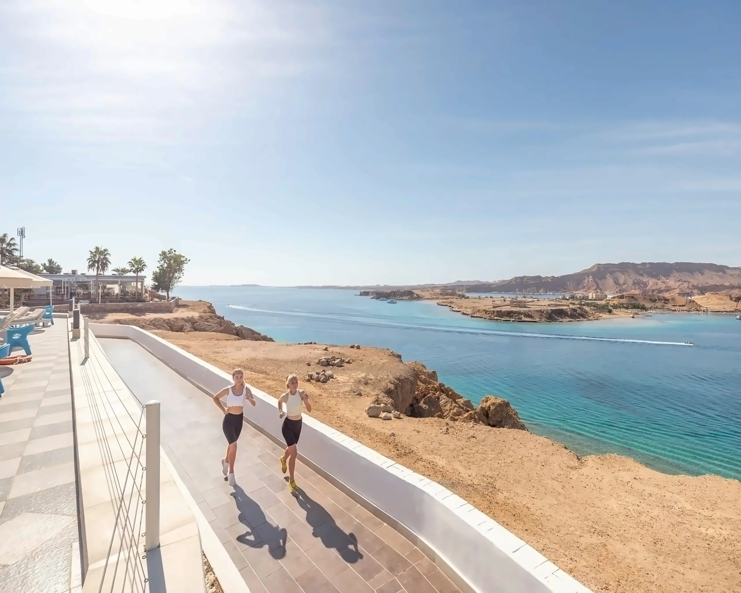 Nazwa: Albatros Sharm Resort (Ex. Beach Albatros SSH)