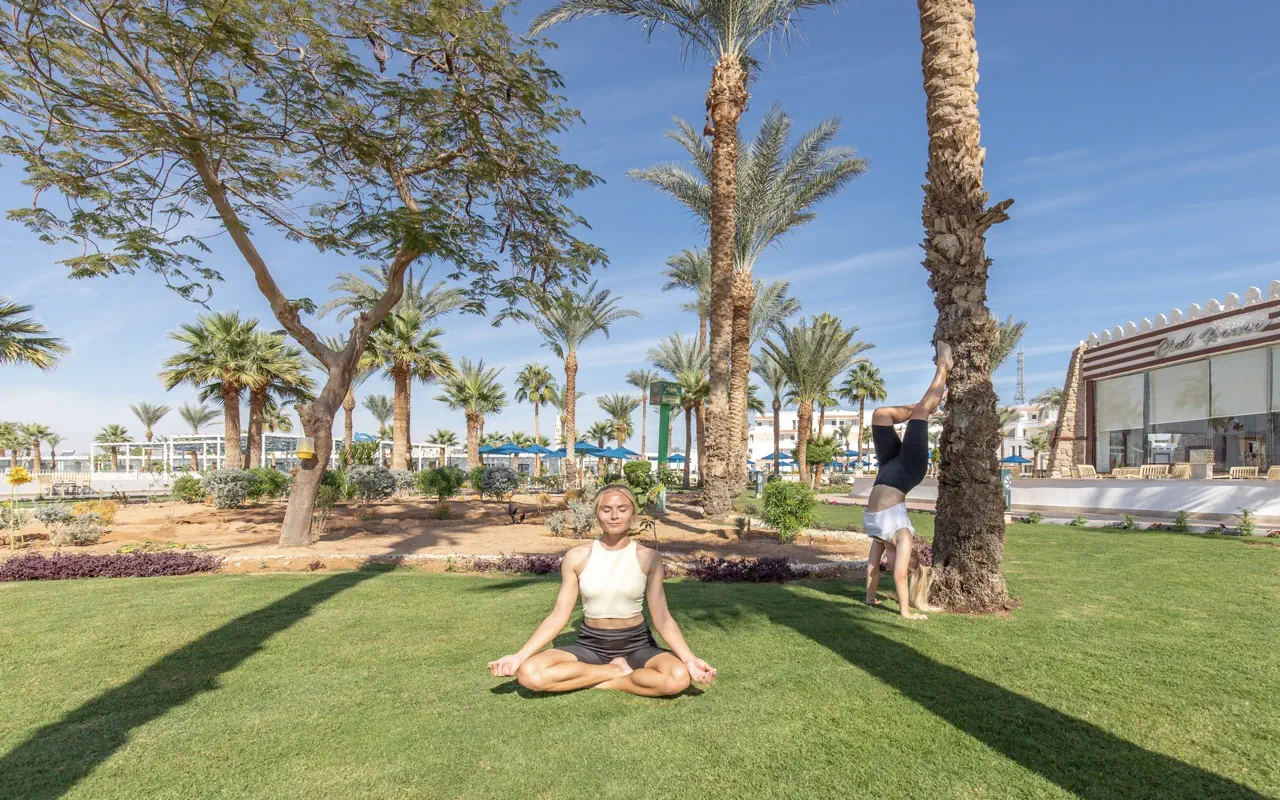 Nazwa: Albatros Sharm Resort (Ex. Beach Albatros SSH)