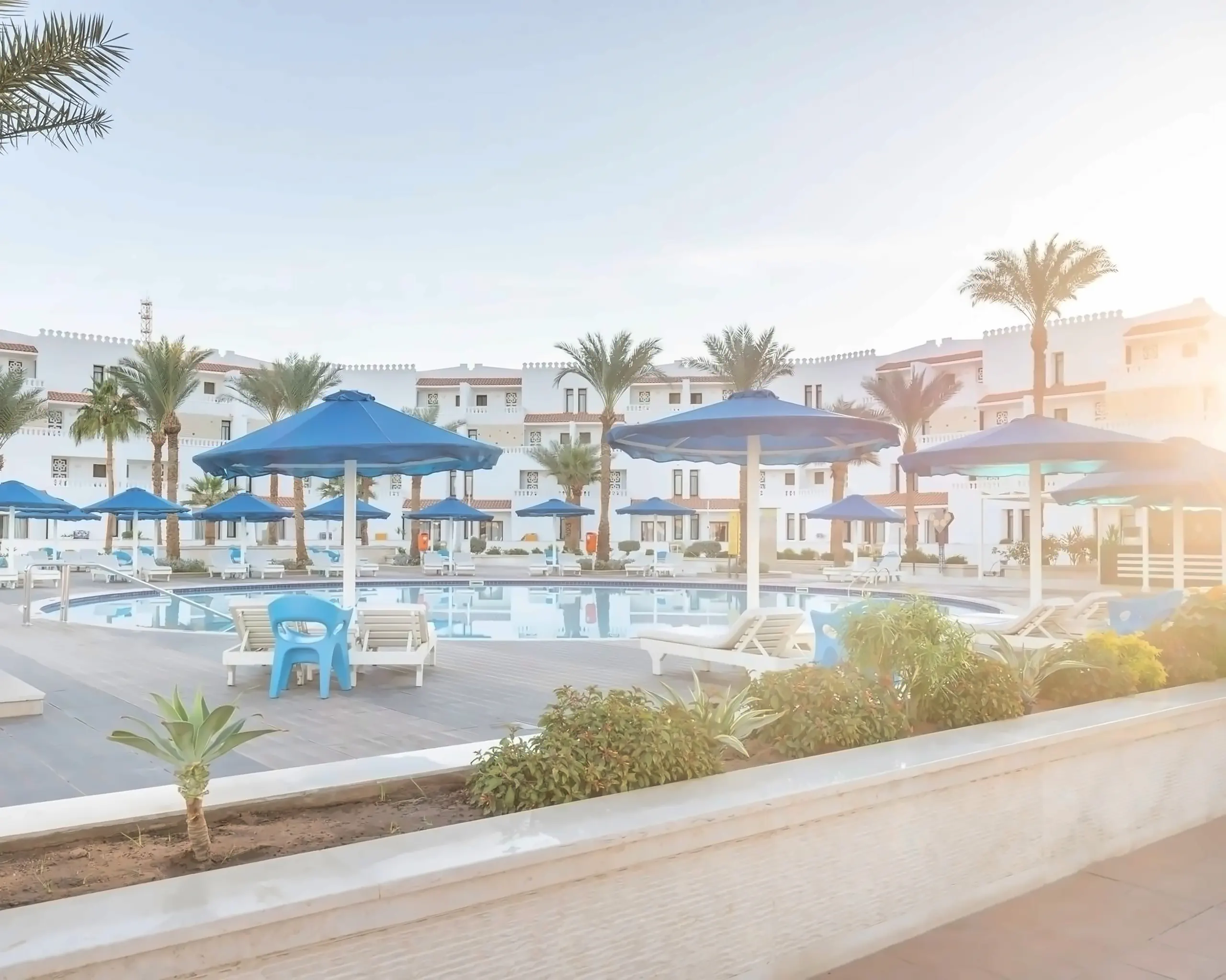 Nazwa: Albatros Sharm Resort (Ex. Beach Albatros SSH)