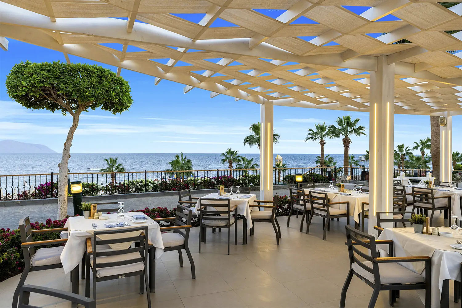 Savoy (Sharm El Sheikh) - zdjęcie 11