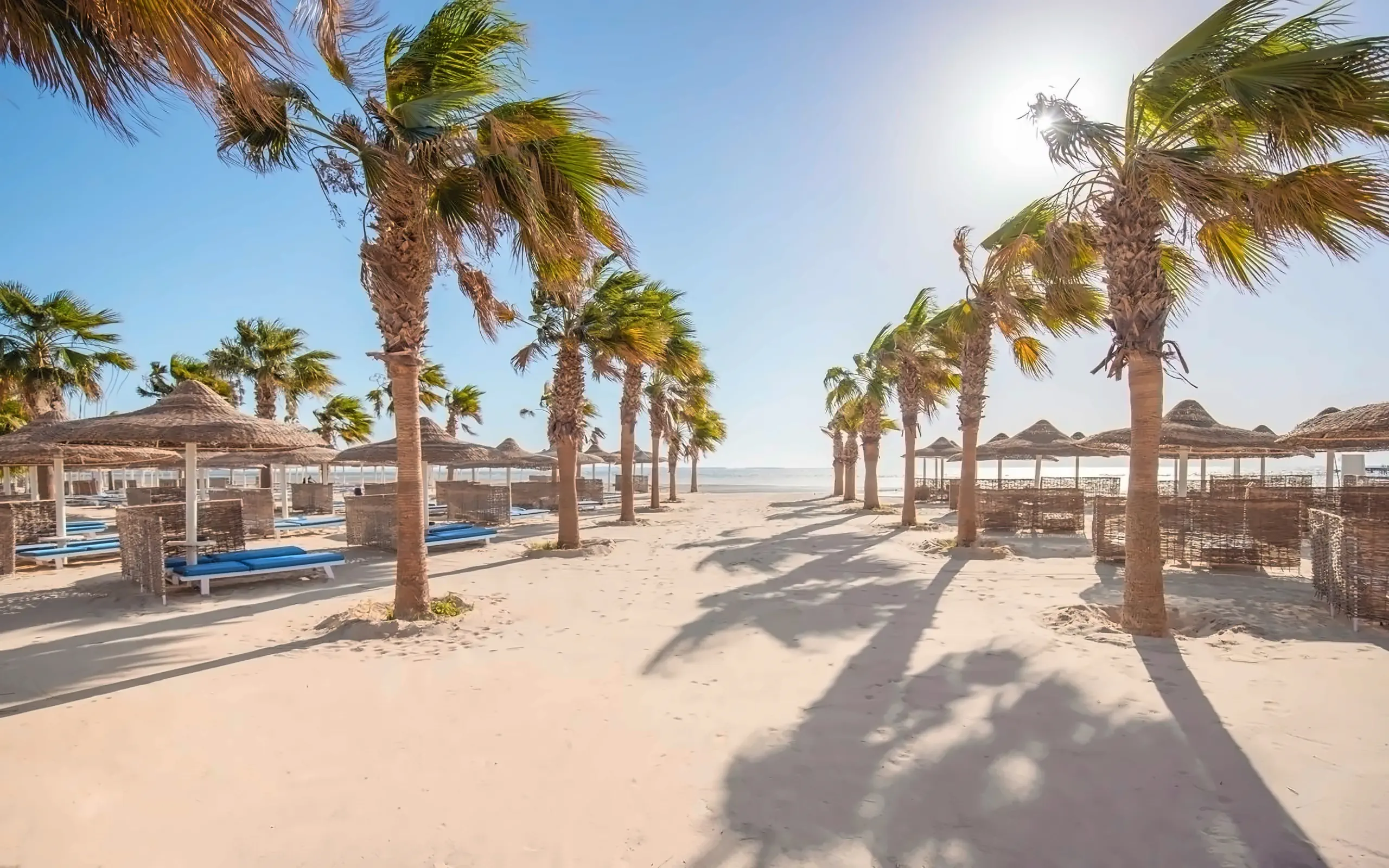 Nazwa: Amwaj Beach Club Abu Soma