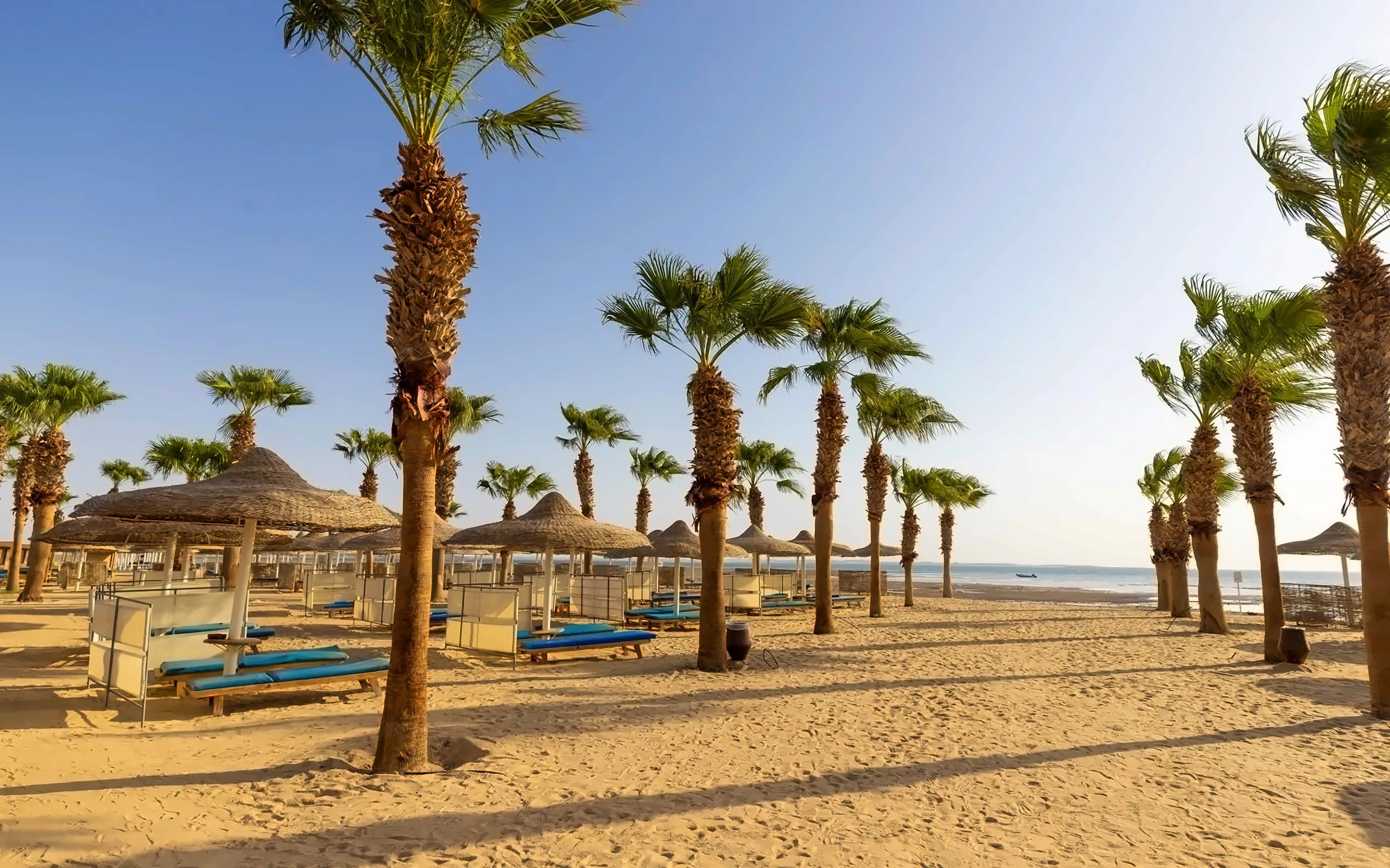 Nazwa: Amwaj Beach Club Abu Soma