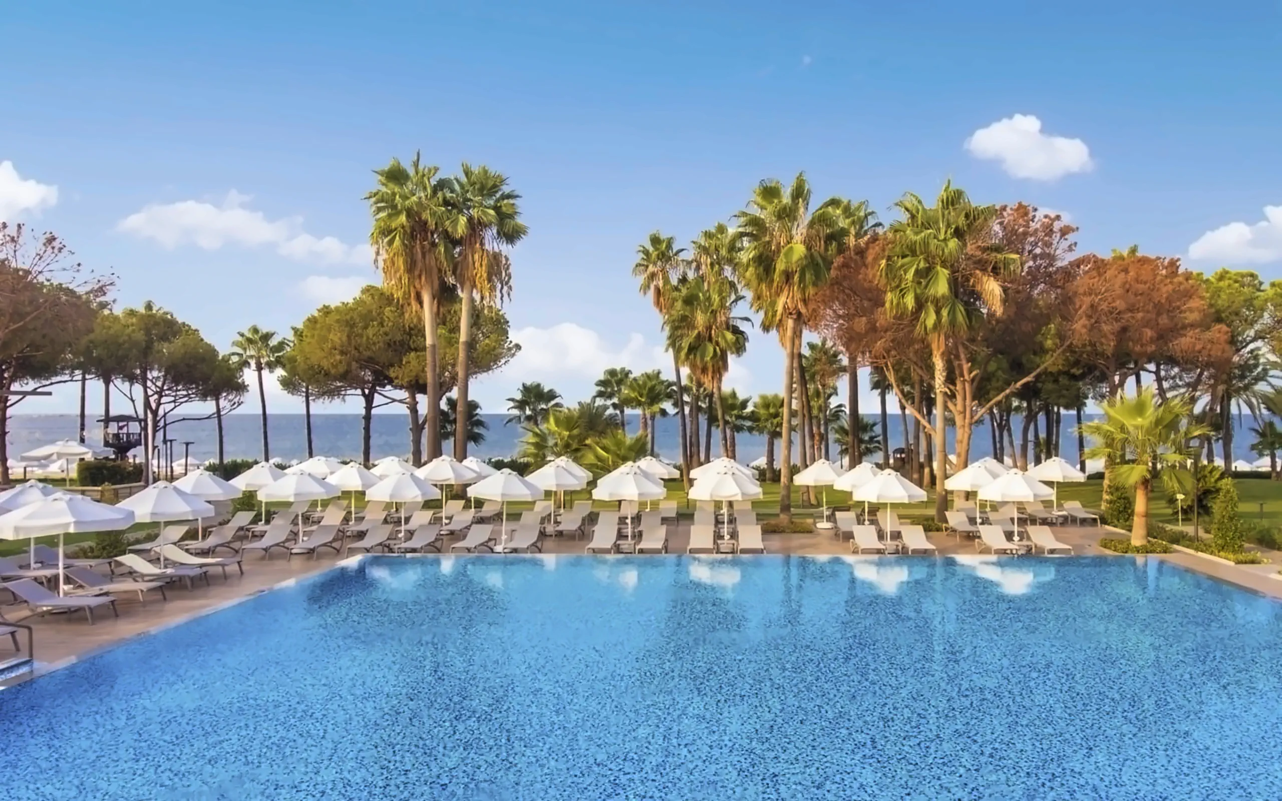 Nazwa: Acanthus Cennet Barut Collection