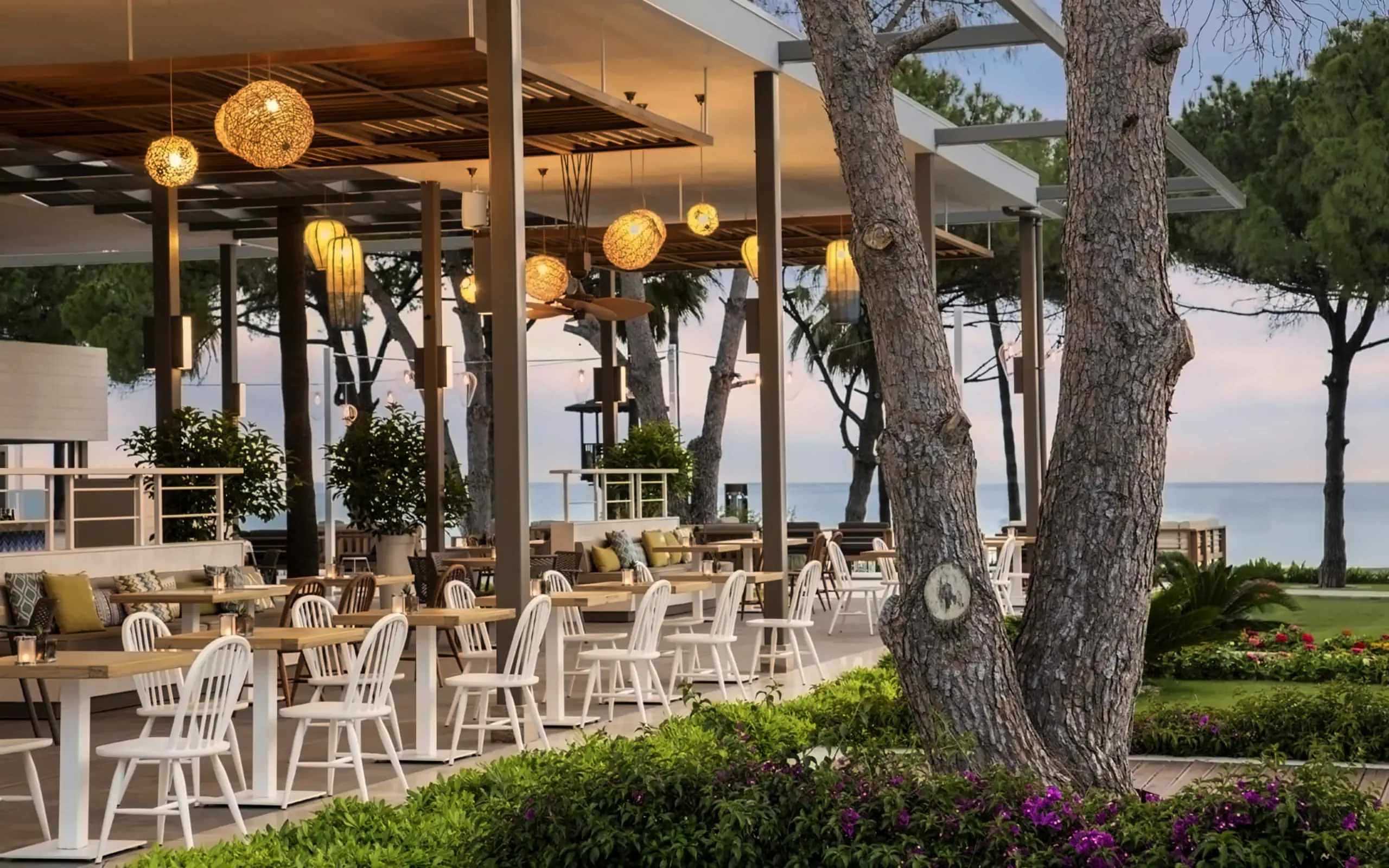 Nazwa: Acanthus Cennet Barut Collection