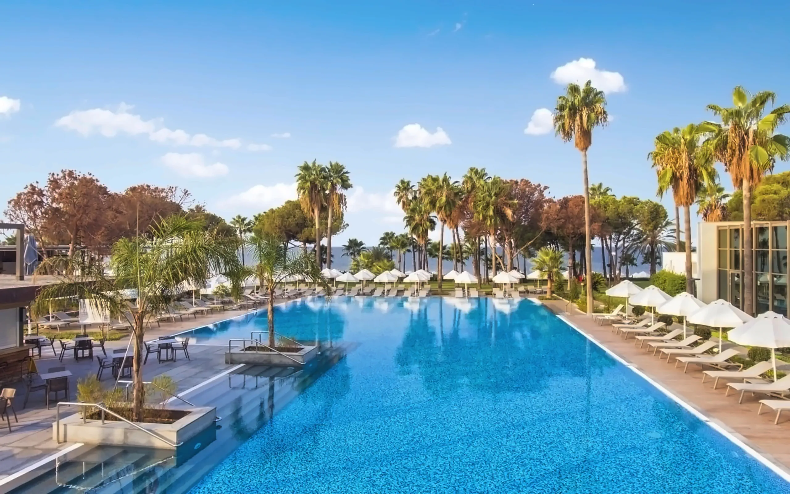 Nazwa: Acanthus Cennet Barut Collection