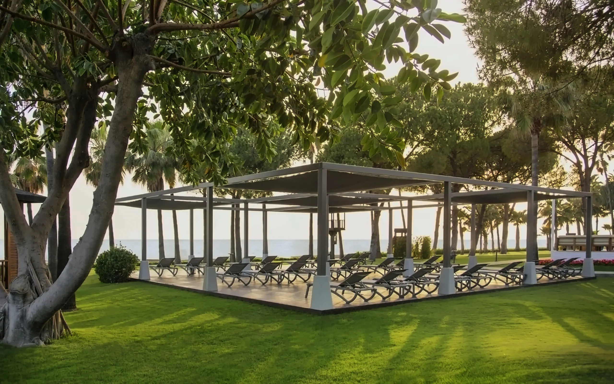 Nazwa: Acanthus Cennet Barut Collection