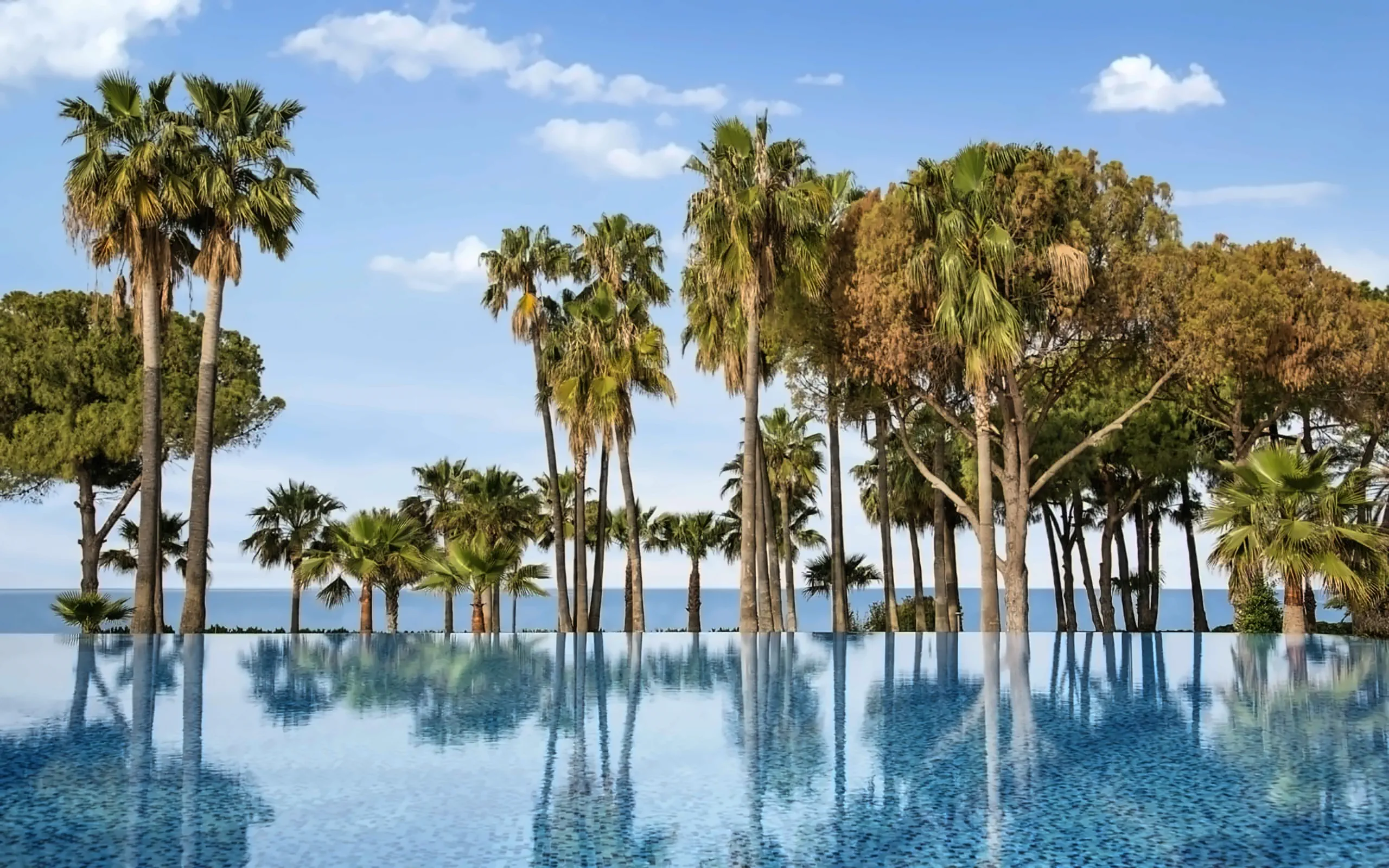 Nazwa: Acanthus Cennet Barut Collection