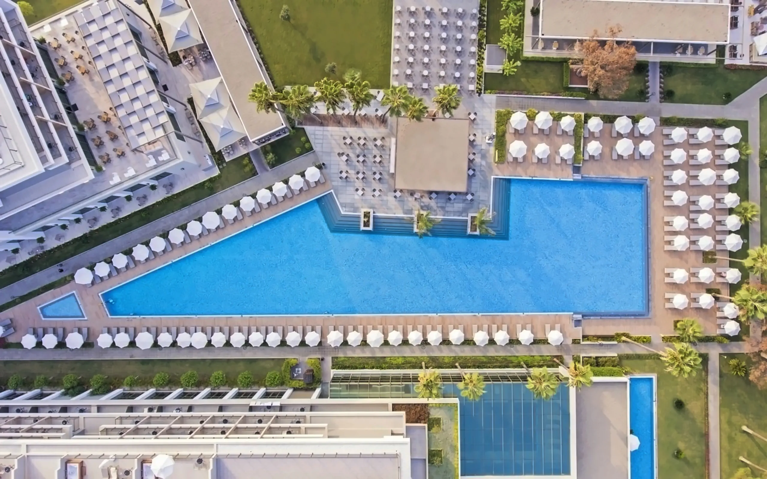 Nazwa: Acanthus Cennet Barut Collection
