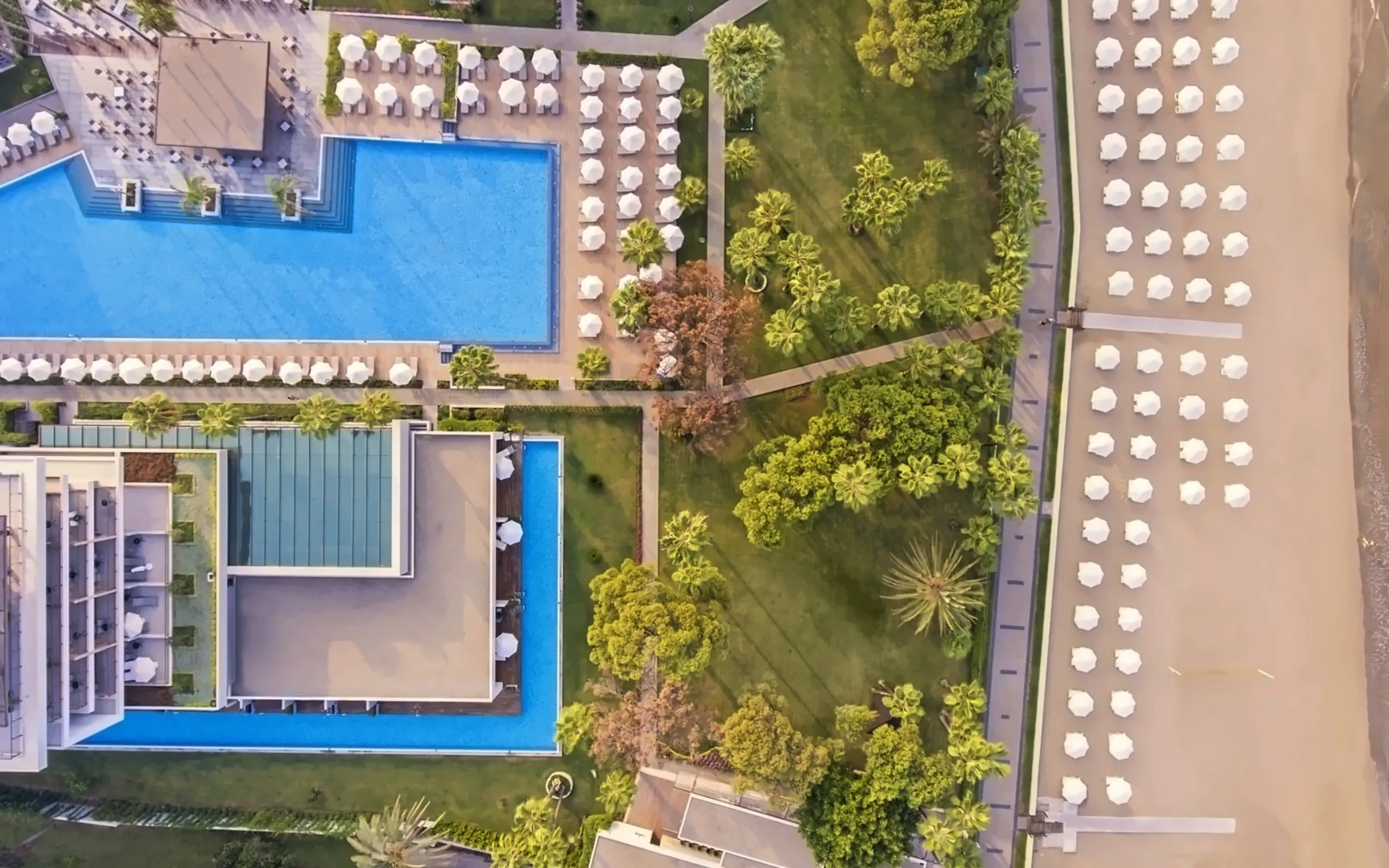 Nazwa: Acanthus Cennet Barut Collection