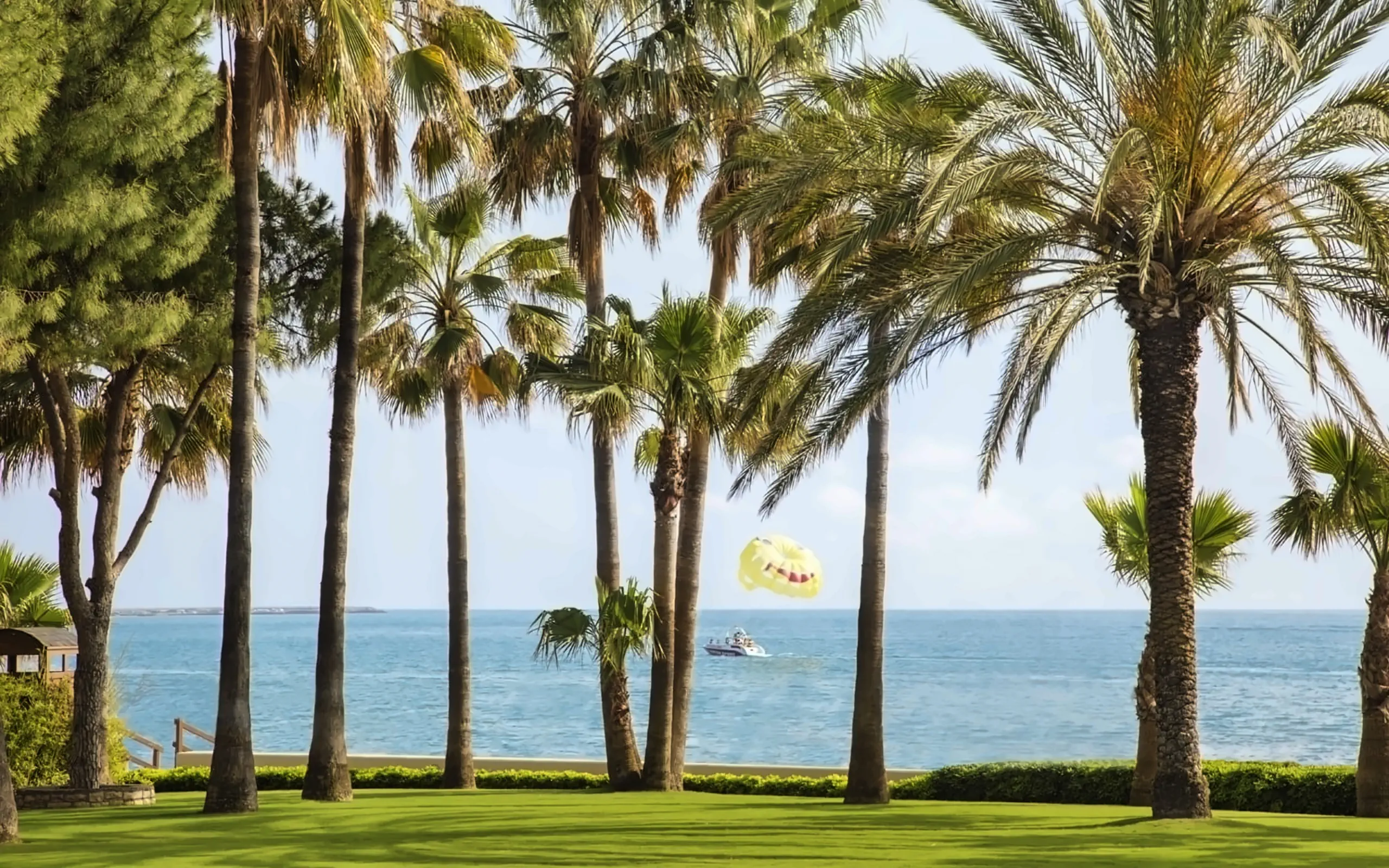 Nazwa: Acanthus Cennet Barut Collection