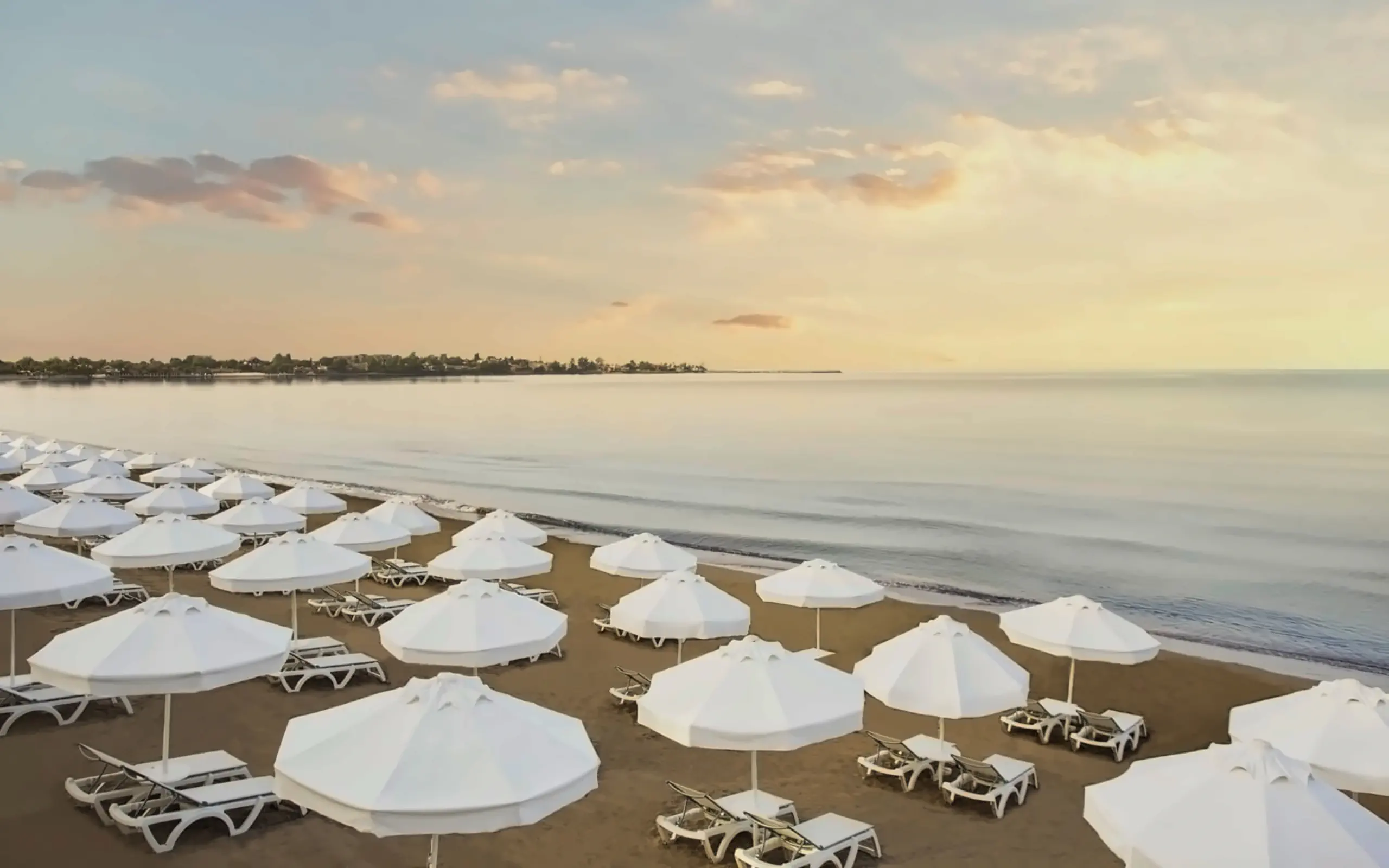 Nazwa: Acanthus Cennet Barut Collection