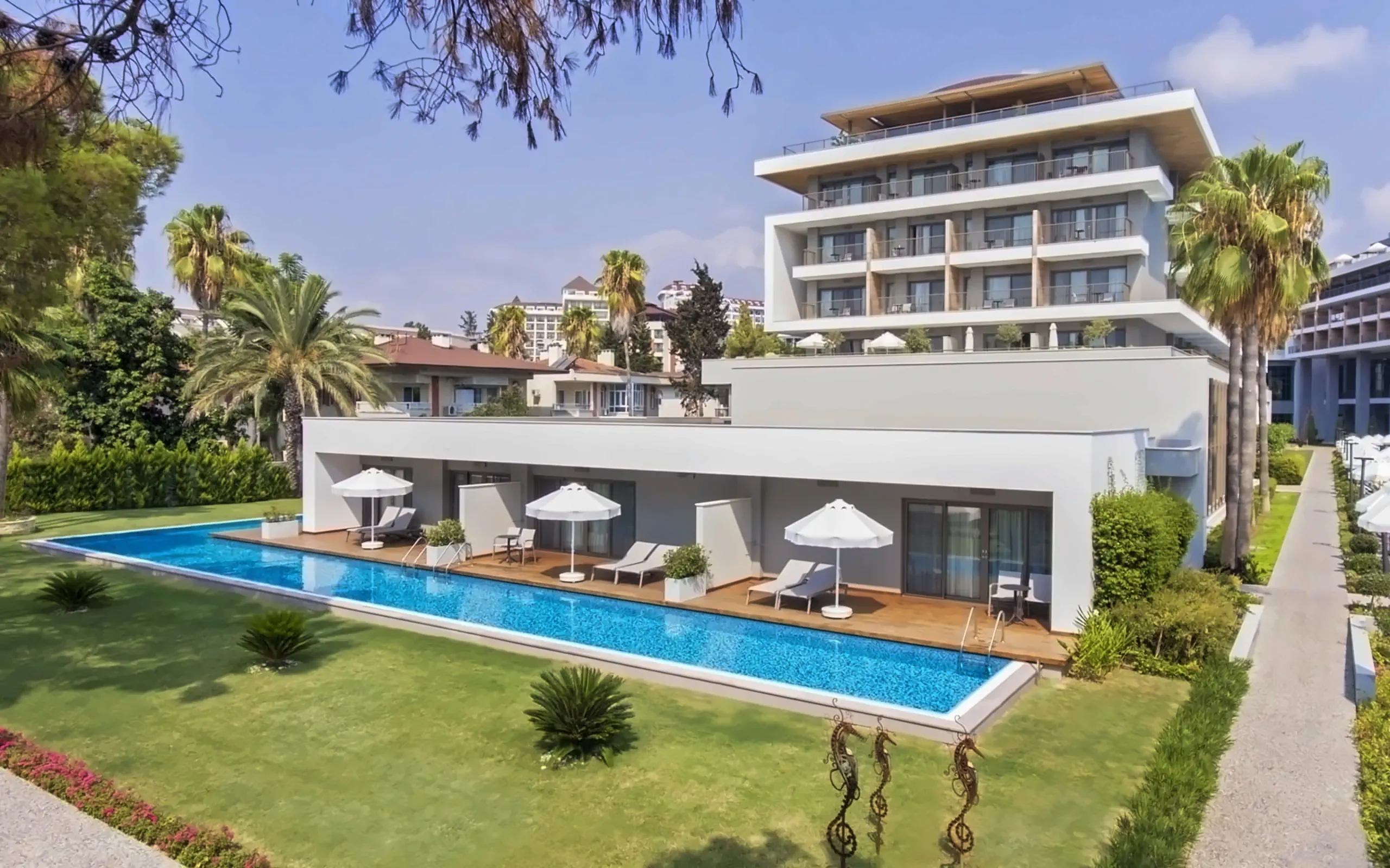 Nazwa: Acanthus Cennet Barut Collection
