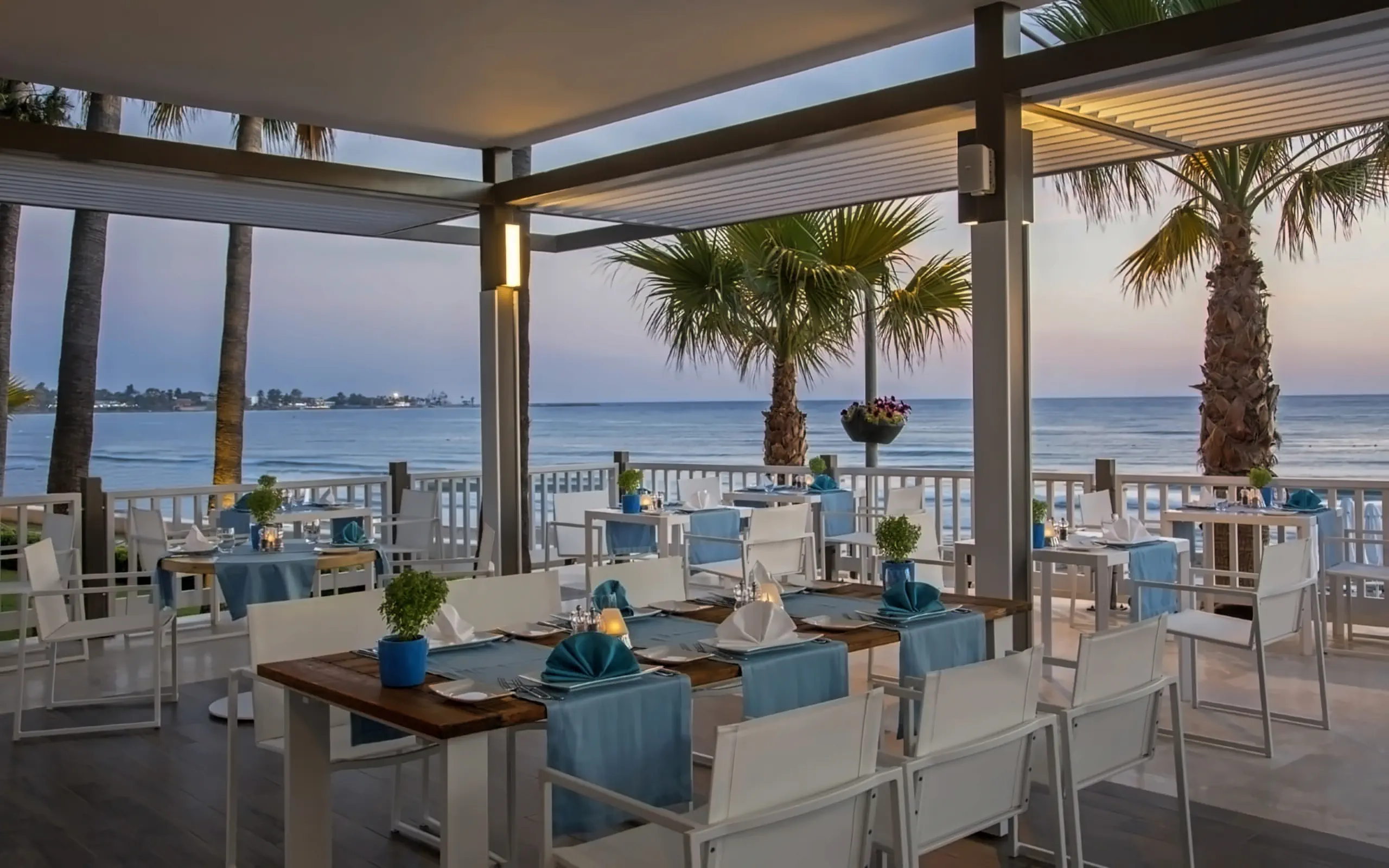 Nazwa: Acanthus Cennet Barut Collection
